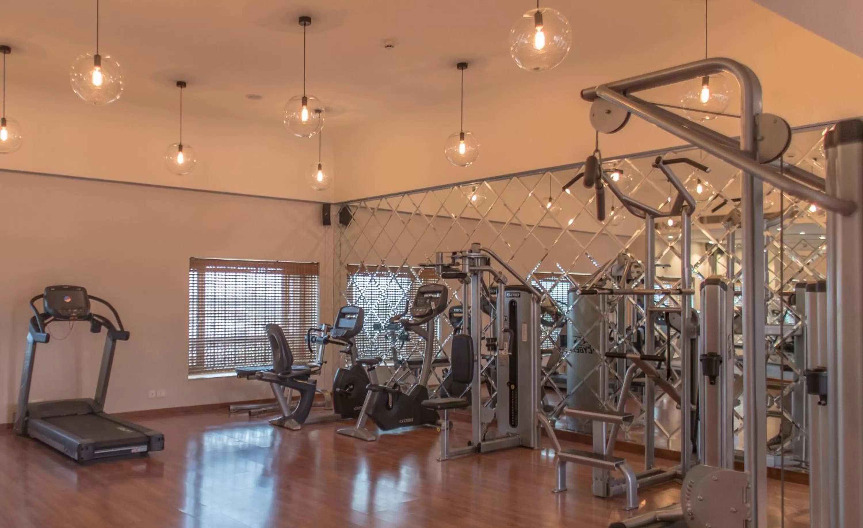 Fitness centre/facilities in The Laxmi Niwas Palace