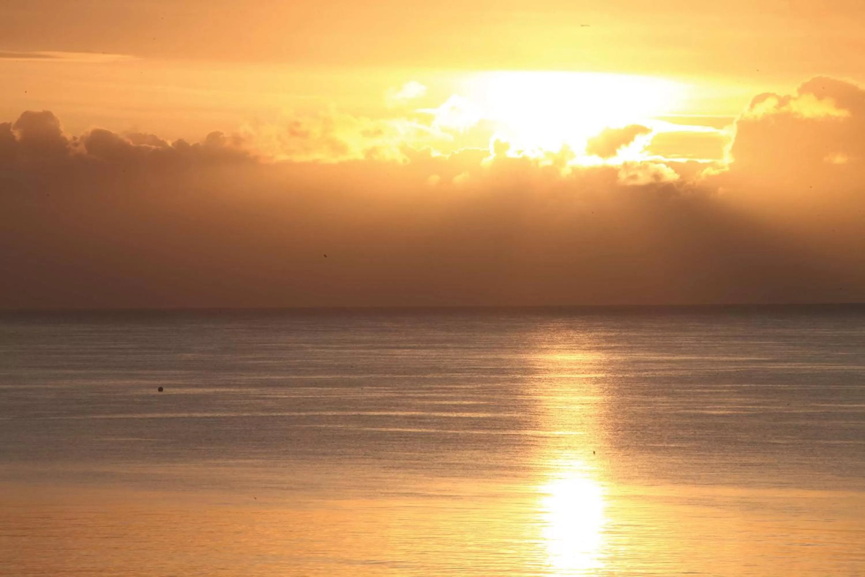 Nearby landmark in Best Western Palace Hotel & Casino