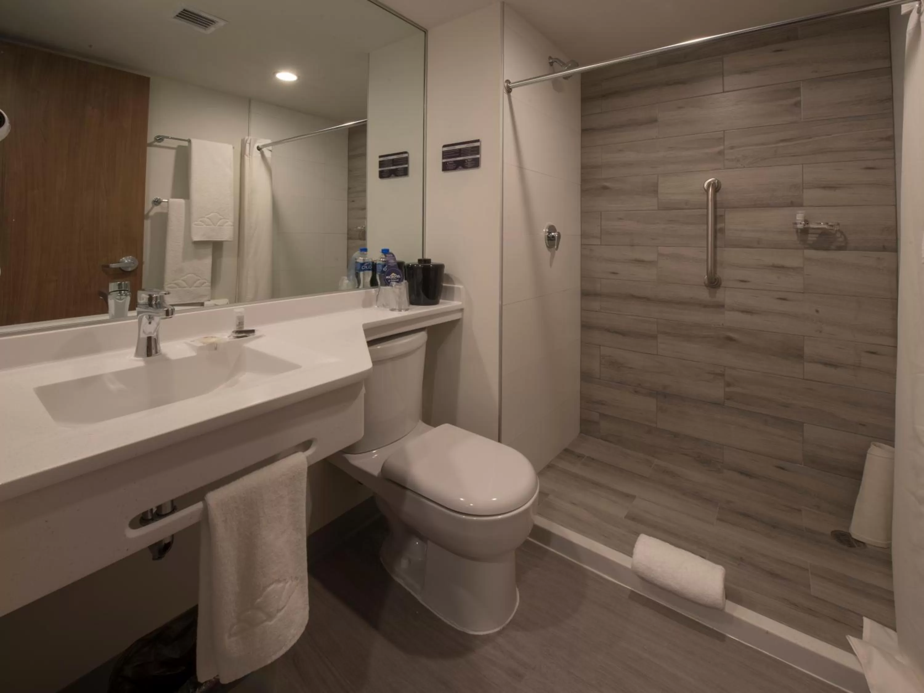 Toilet in Microtel Inn & Suites by Wyndham Irapuato