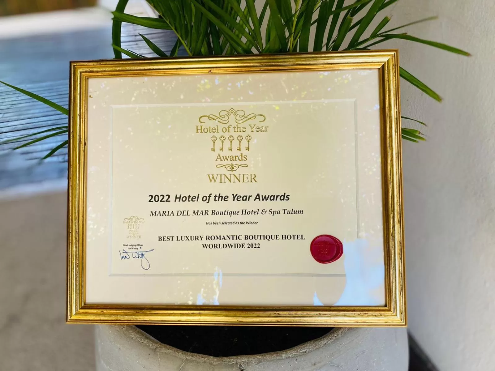 Certificate/Award in Maria Del Mar Tulum - Adults Only