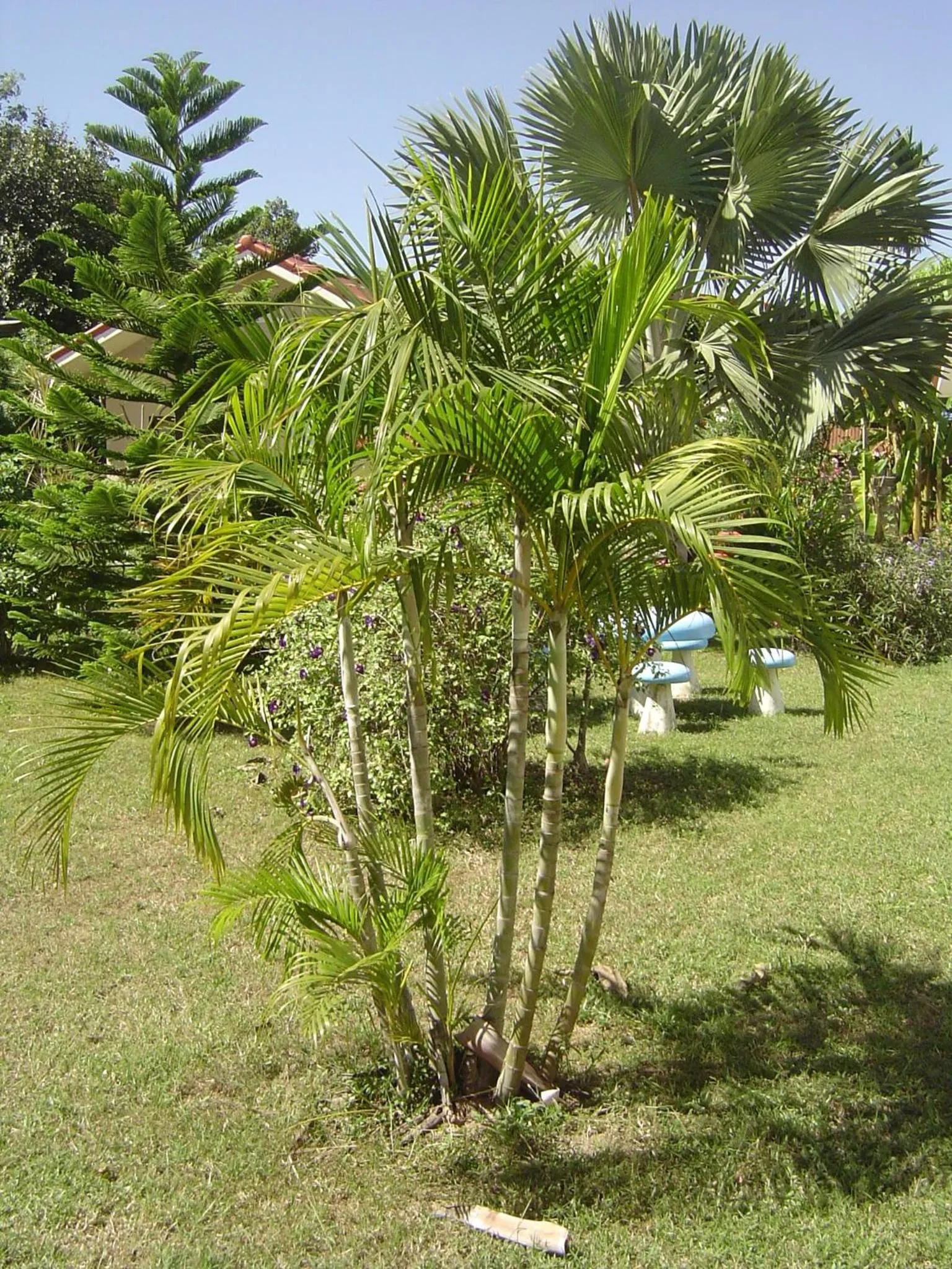 Garden in Mini-golf **** & Resort Ubon Ratchathani