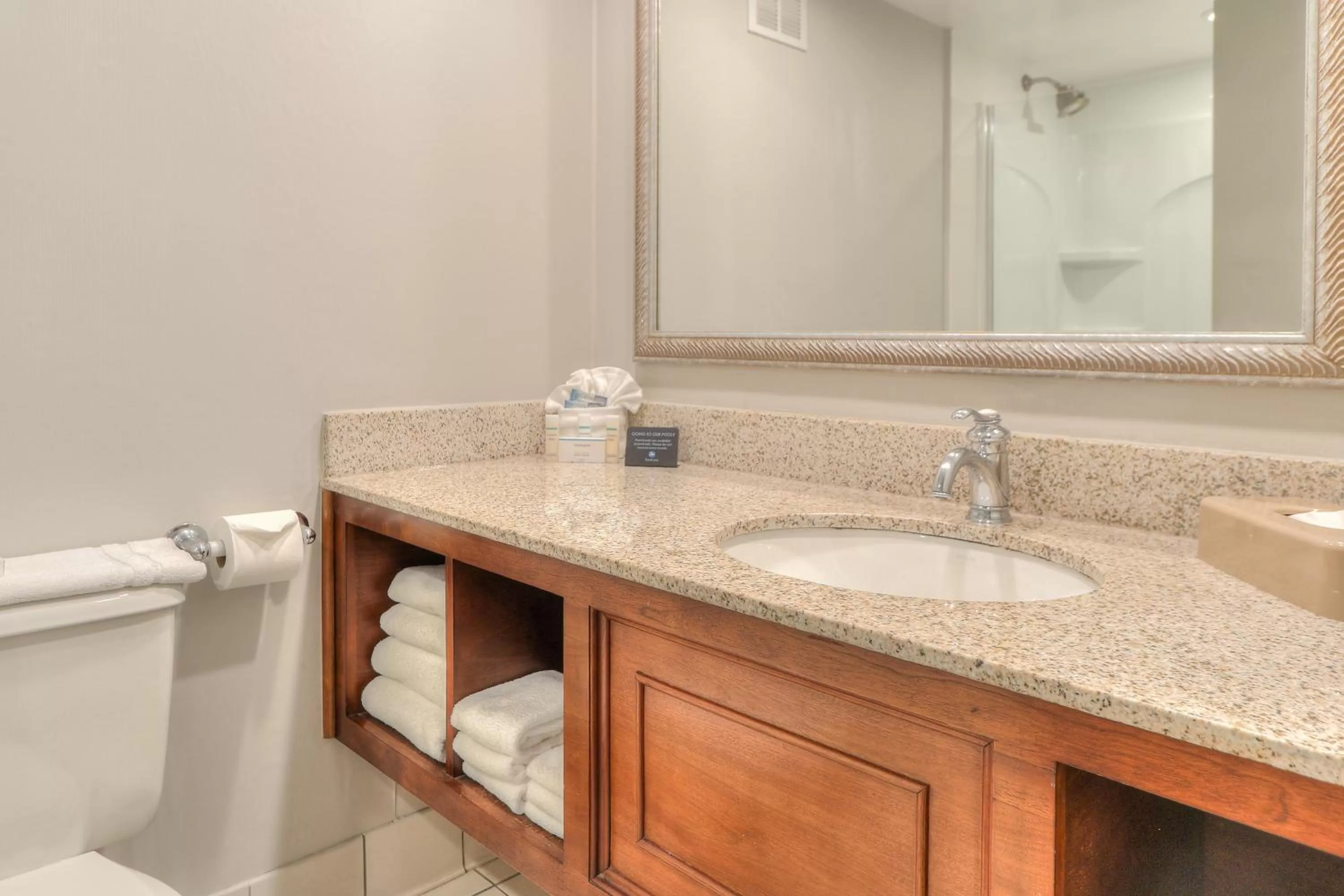 Toilet in The Ramsey Hotel and Convention Center