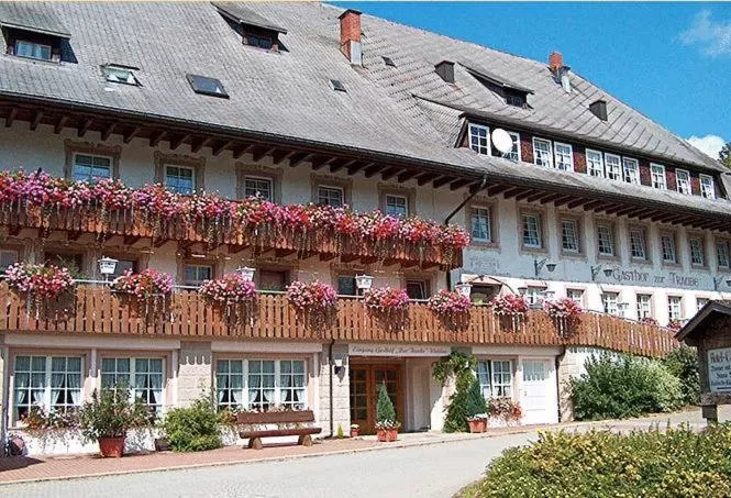 Property building in ZUR TRAUBE Schwarzwaldhotel & Restaurant am Titisee