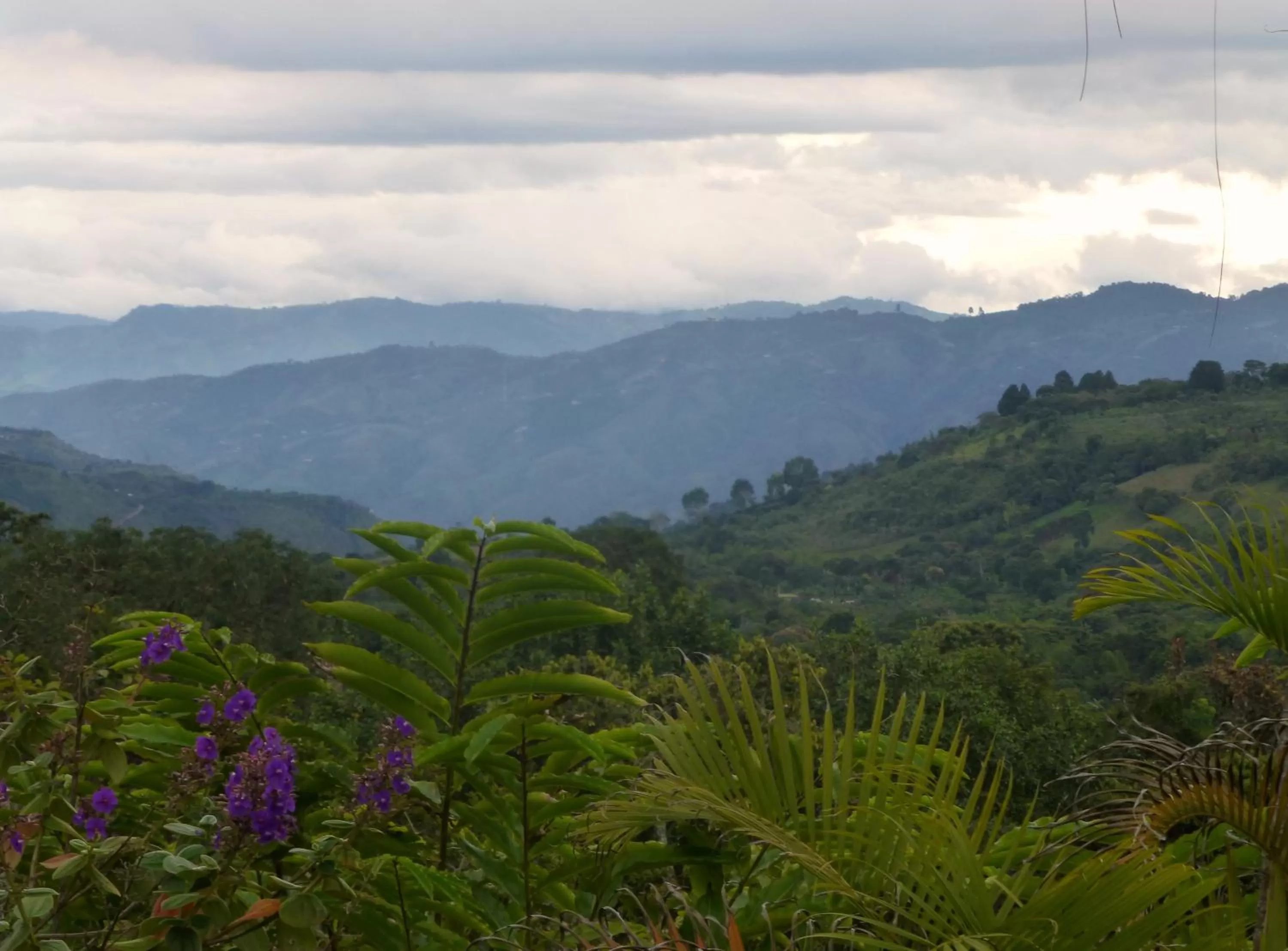 View (from property/room), Mountain View in Finca El Cielo