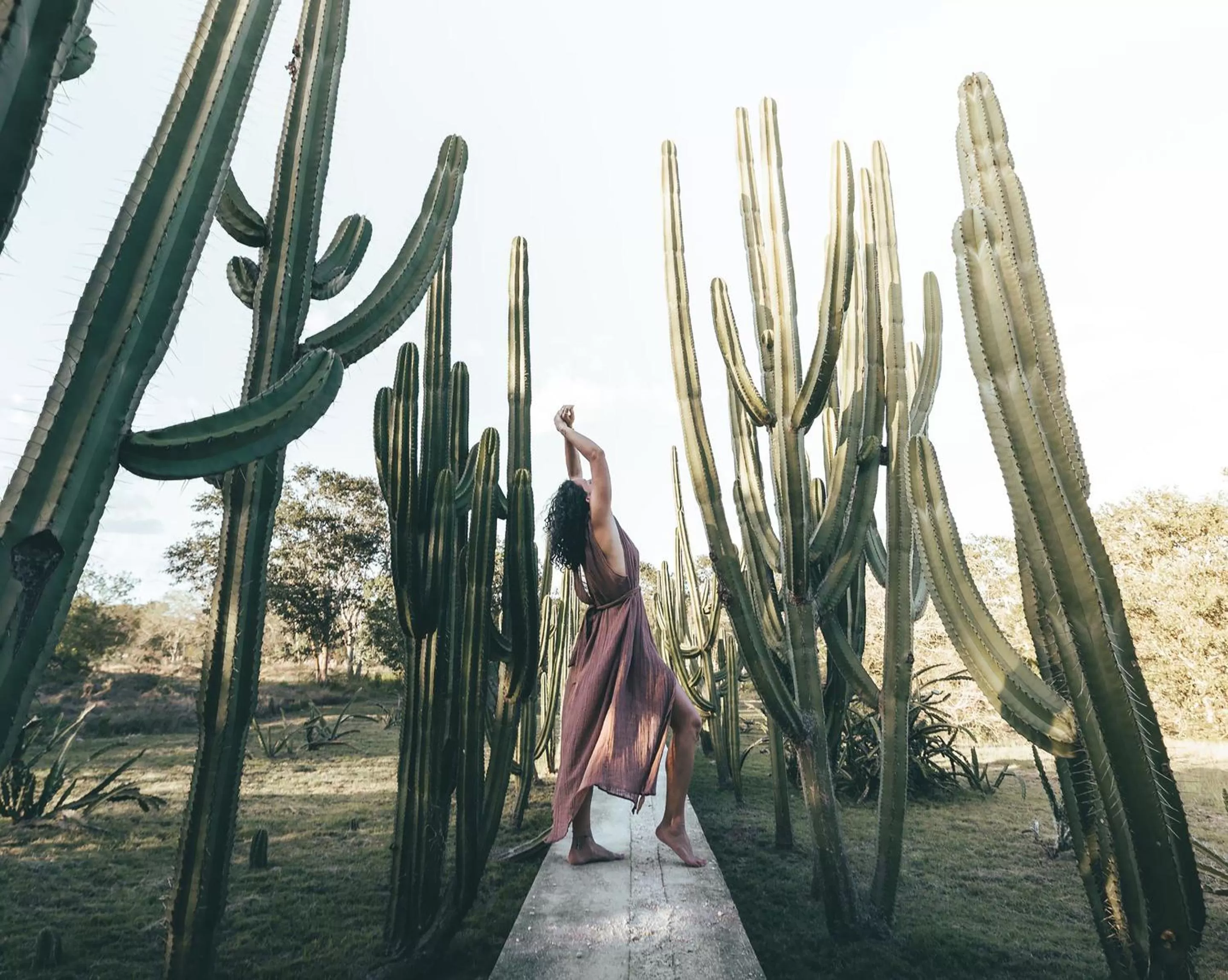 View (from property/room) in Hacienda San Antonio Millet