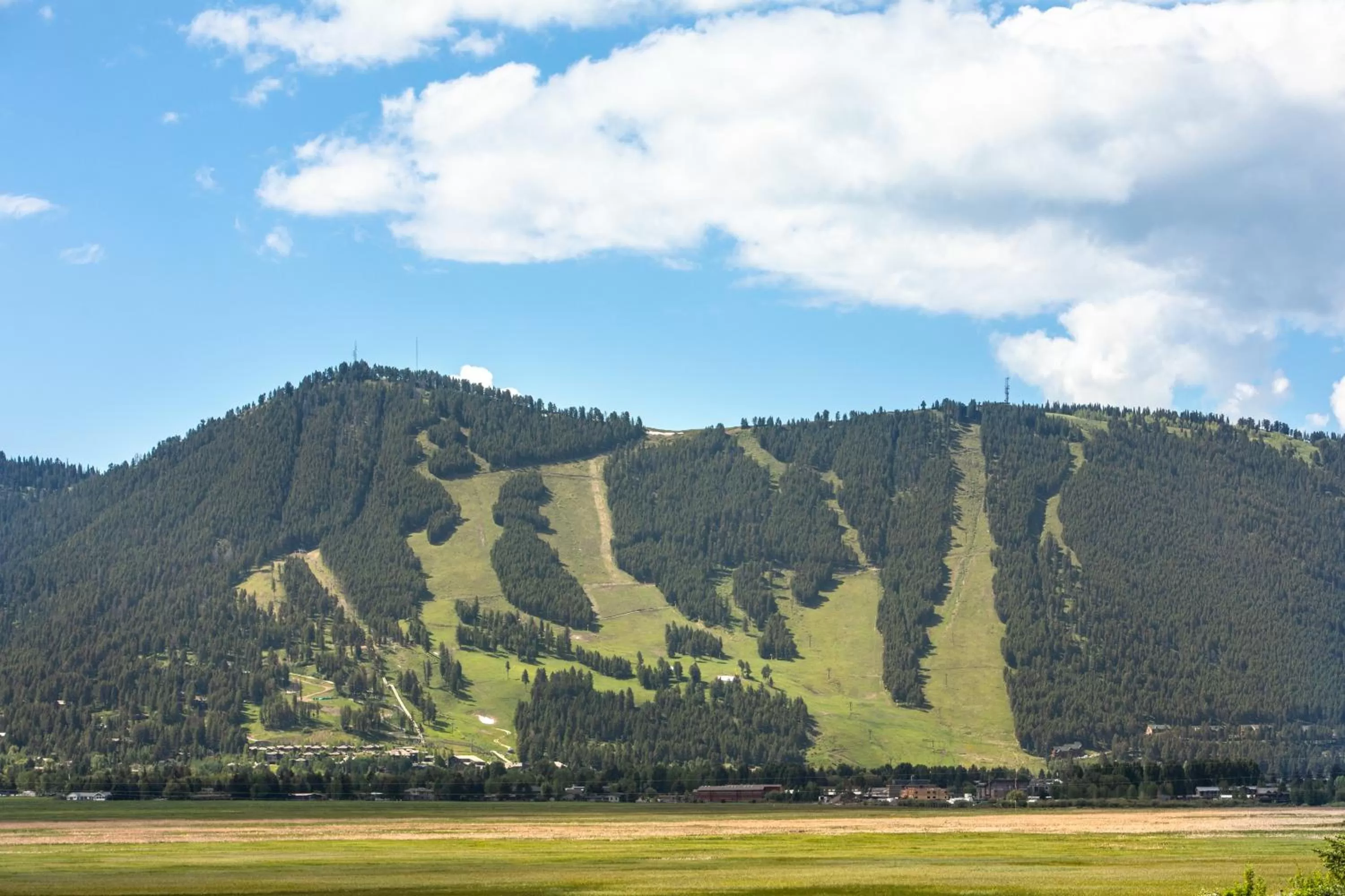Mountain view in Flat Creek Inn