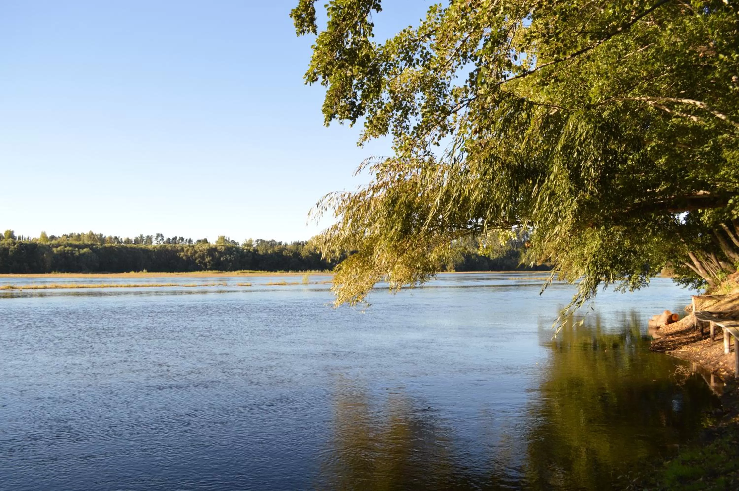 Coyunche Cabañas y Camping Laja & San Rosendo