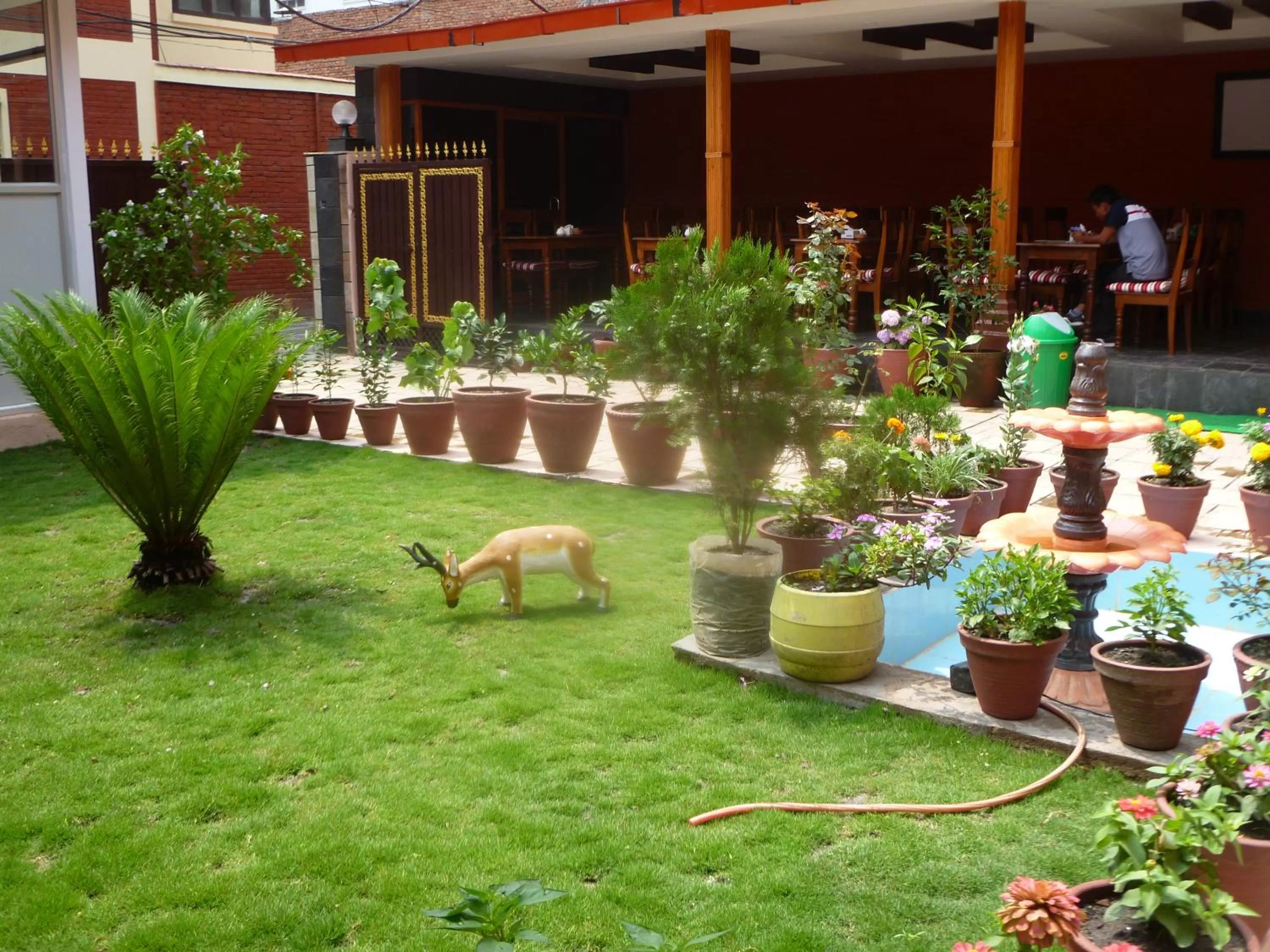 Garden in Hotel Amaryllis