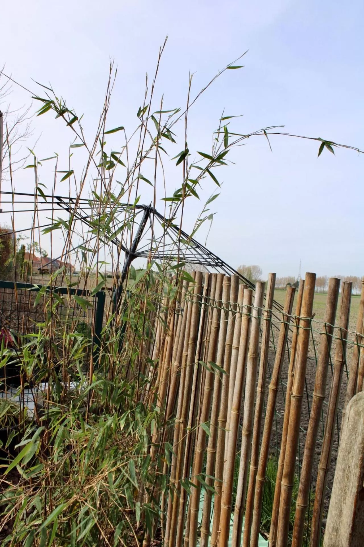 Property building in Studio Art-hill