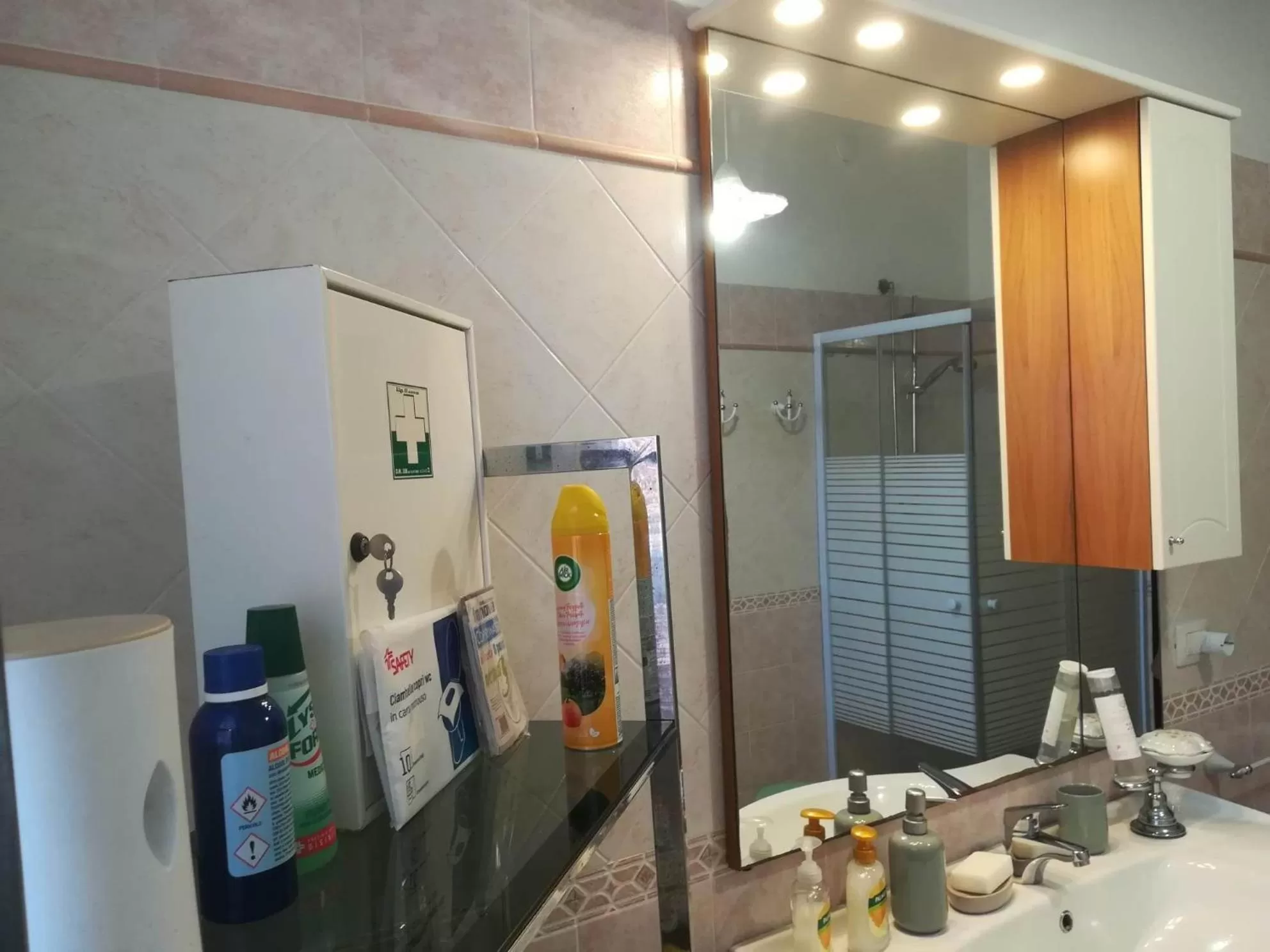 Shower in Domus Aurea