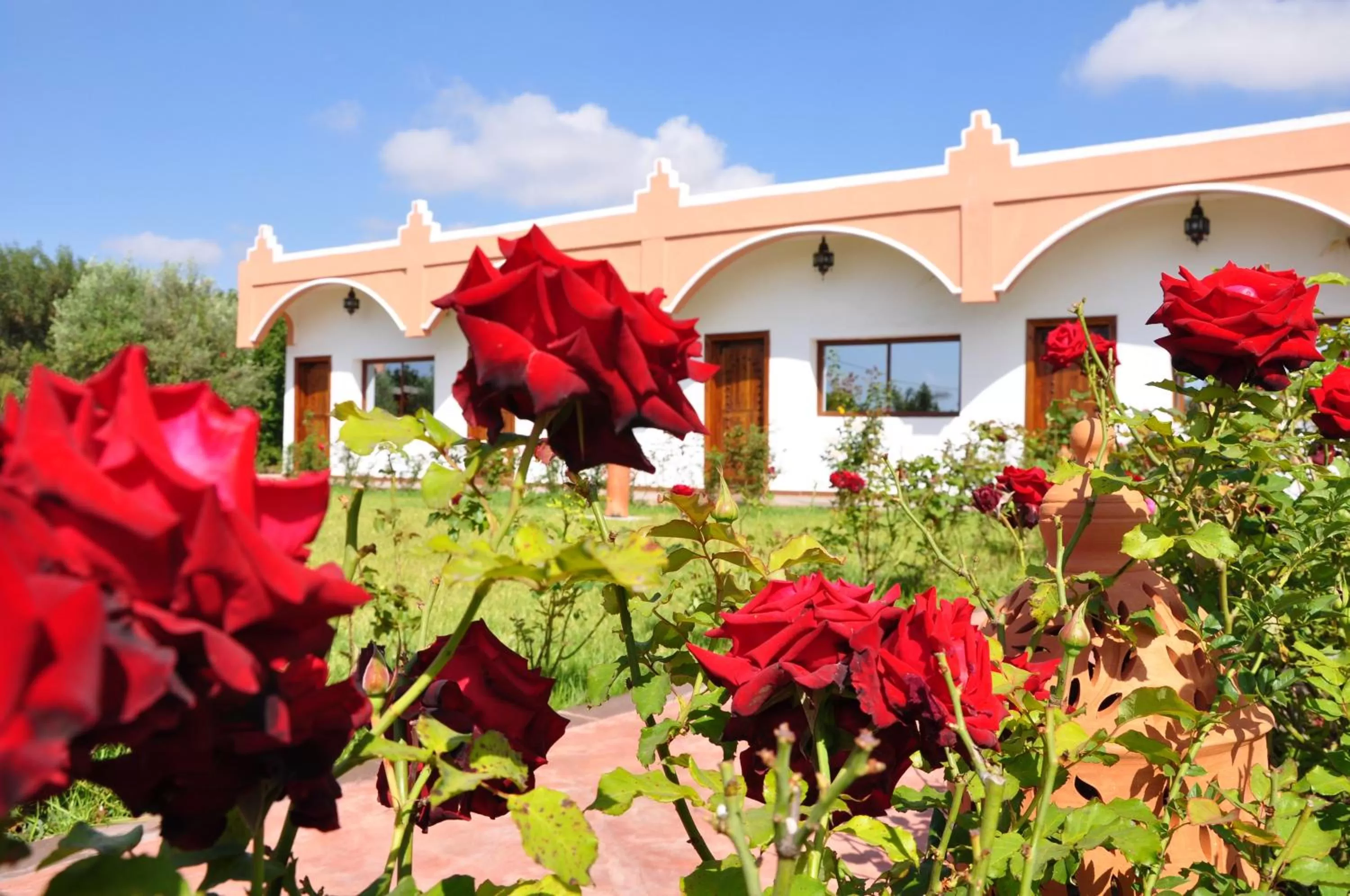 Garden view, Patio/Outdoor Area in Riad Hamdani