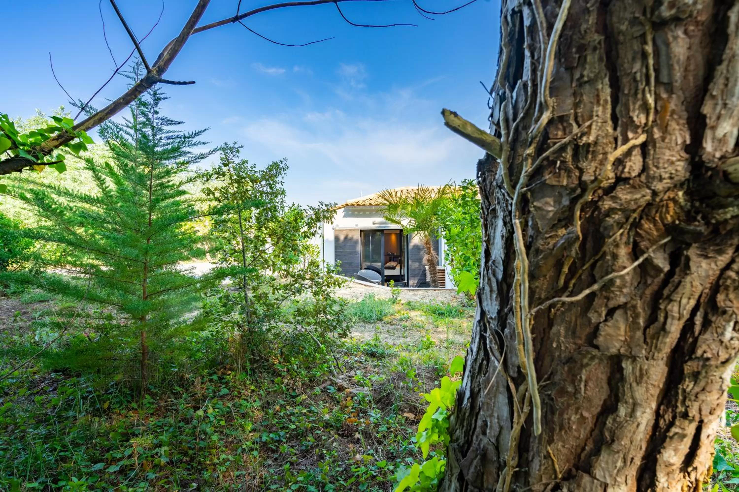 Garden in Hôtel Ile de Ré
