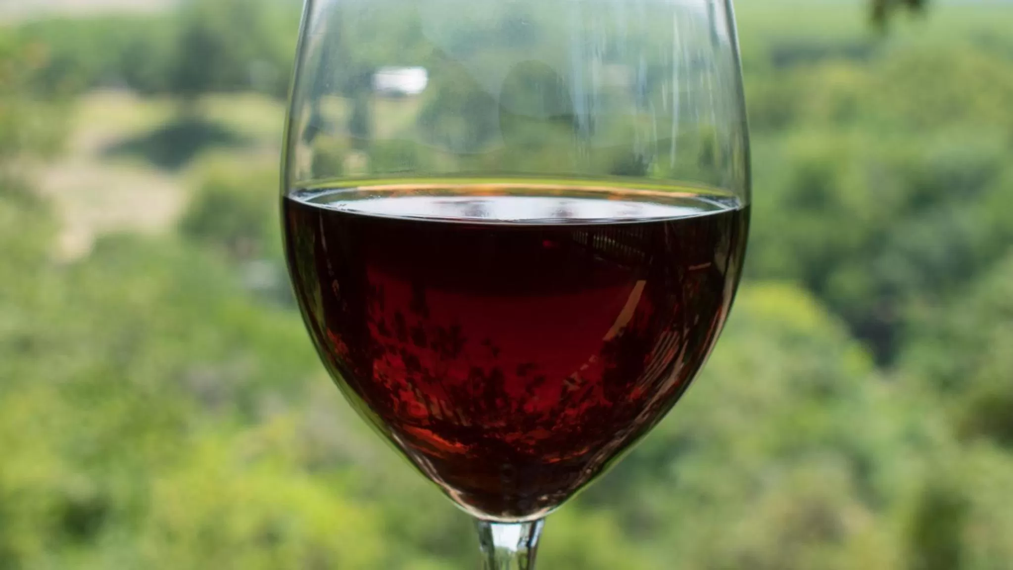 Casa del Rio Bed and Breakfast