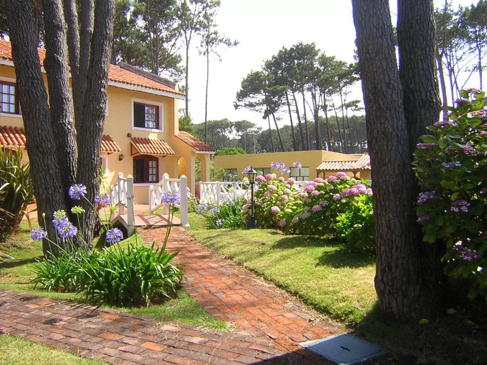 Garden, Property Building in Pino Dorado
