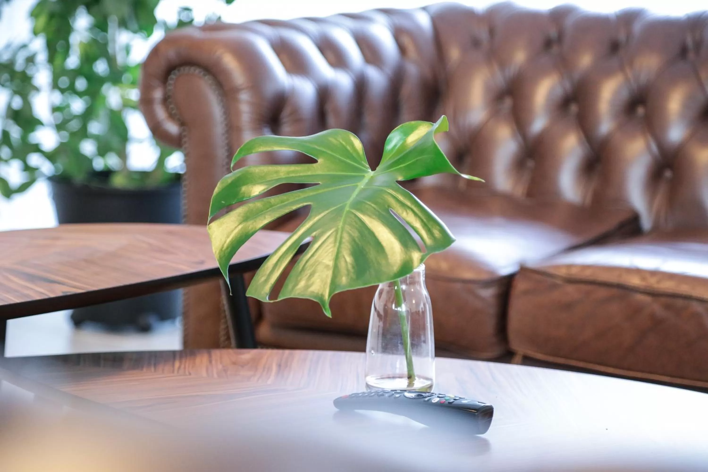 TV and multimedia in Hotel Ikast