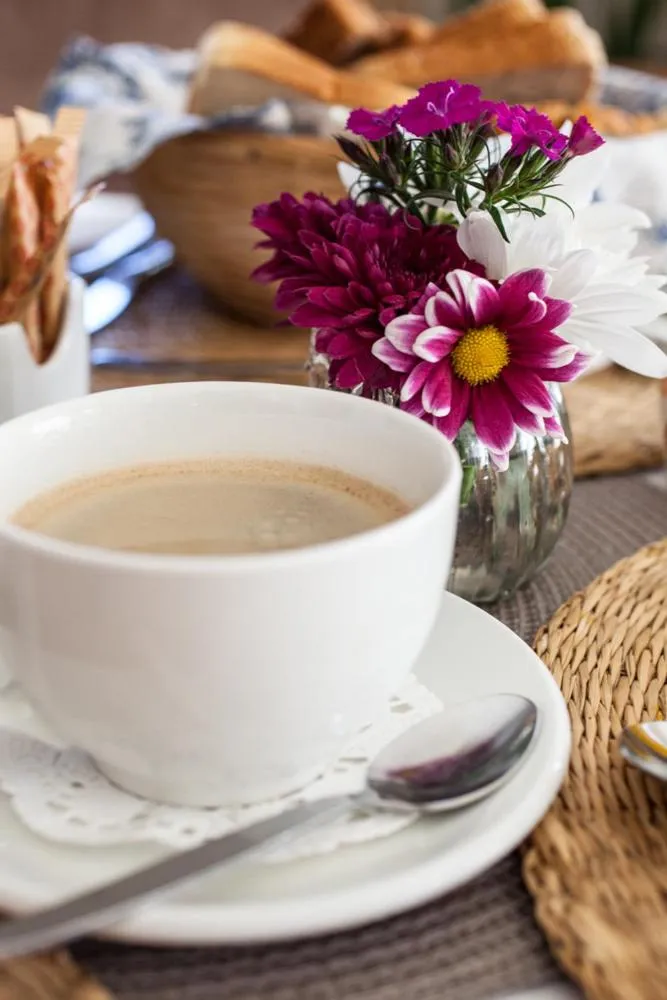 Food close-up in Palm Beach Guesthouse