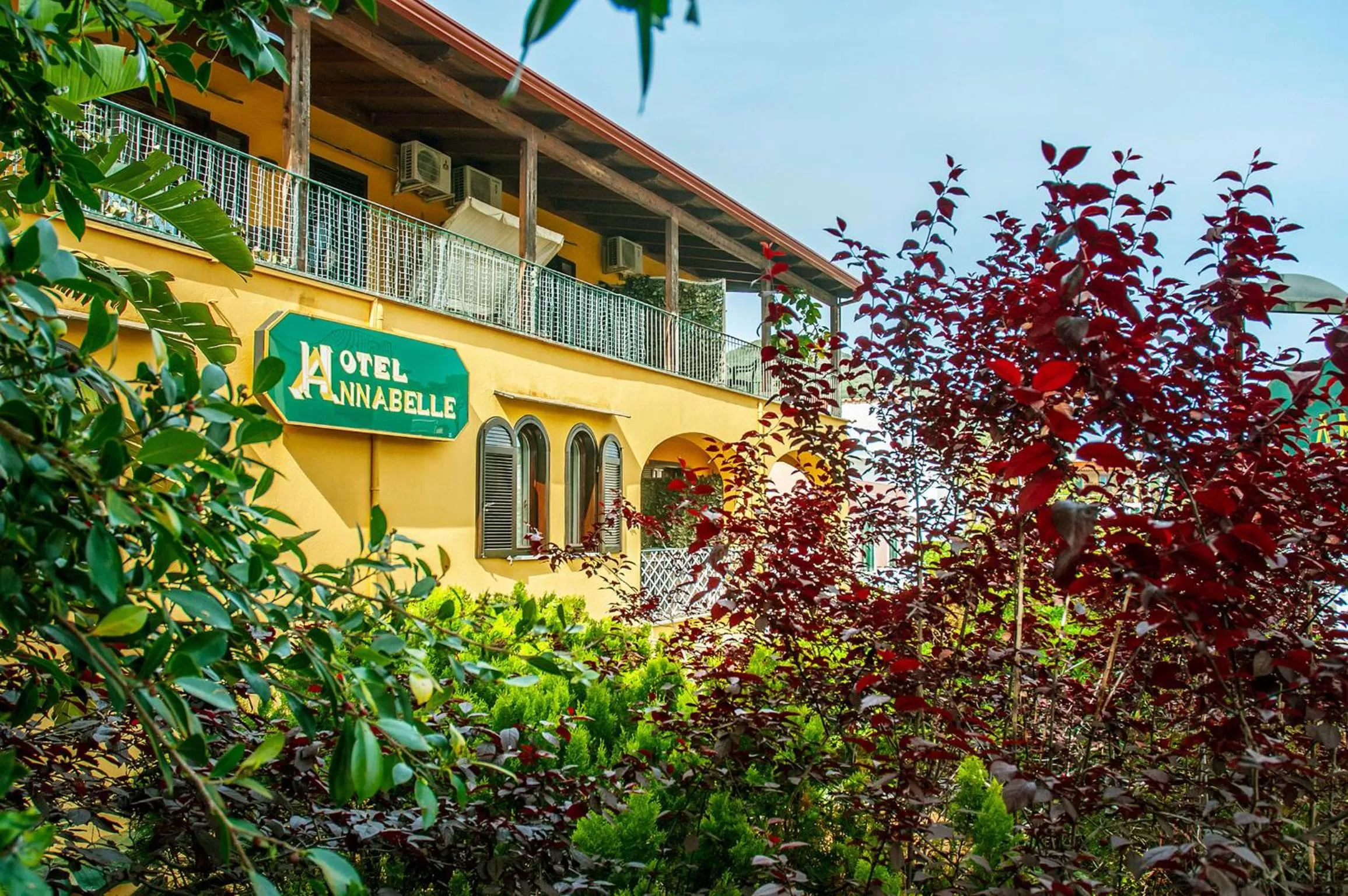 Patio in Hotel Annabelle