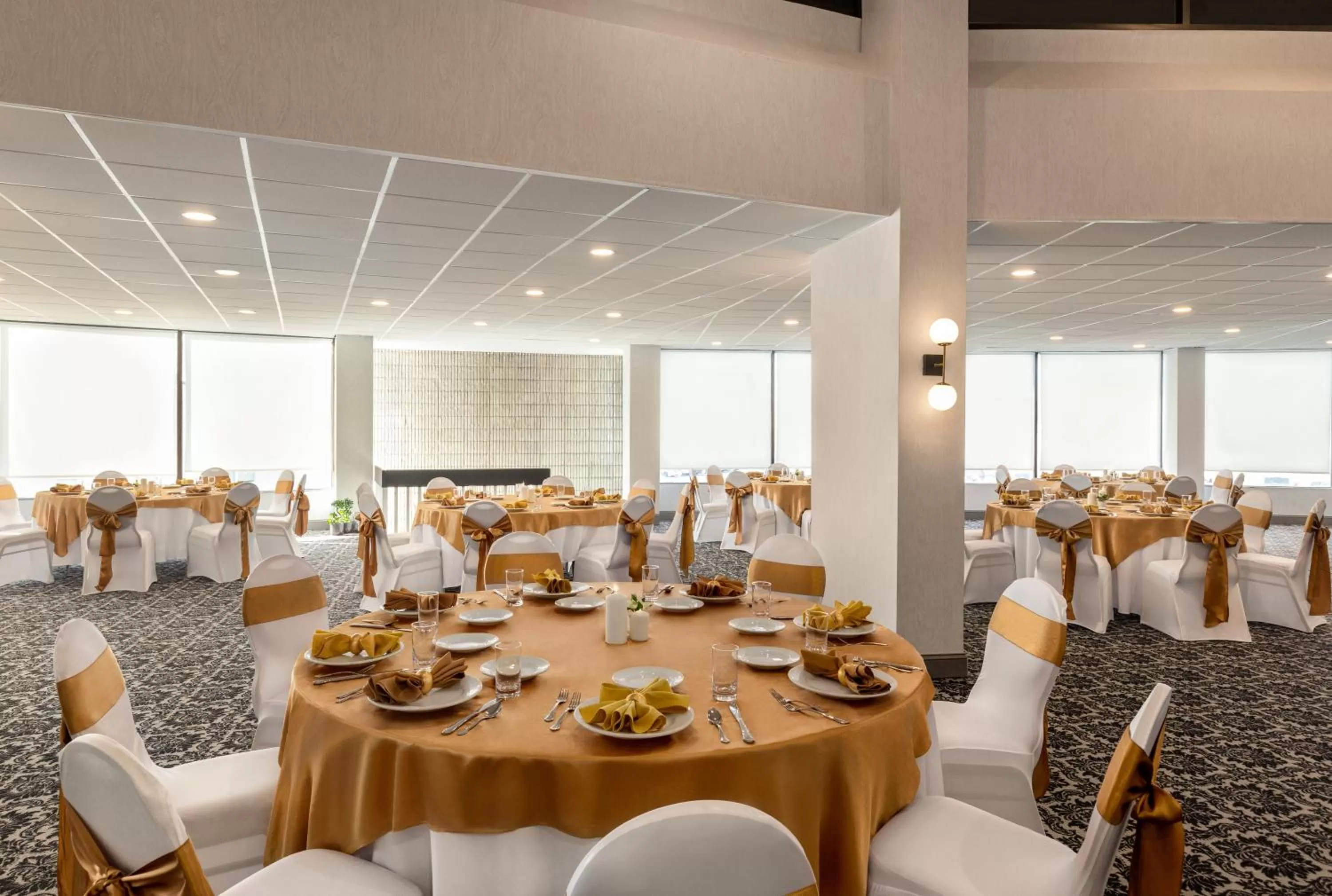 Banquet/Function facilities in Holiday Inn Philadelphia Arpt-Stadium Area by IHG