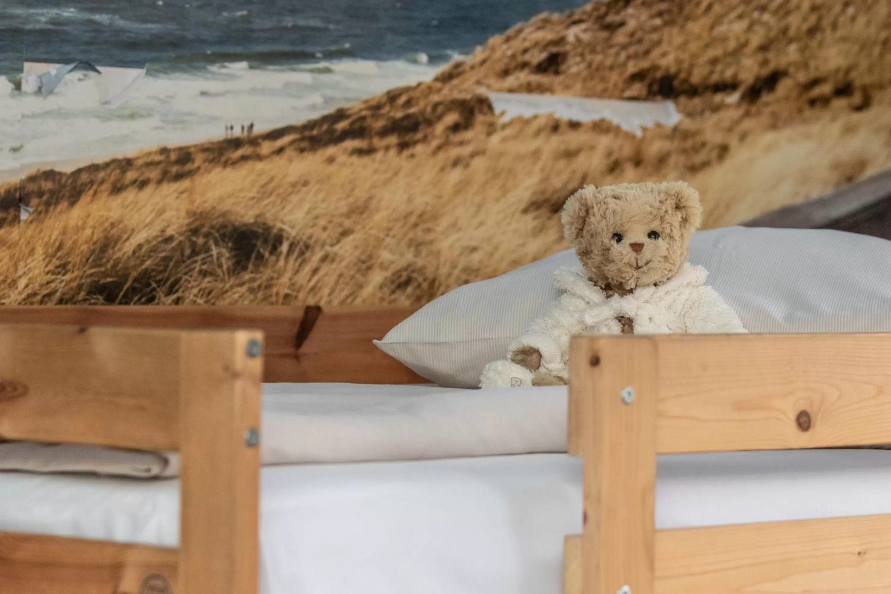 bunk bed in Hotel Heerlijkheid Bergen