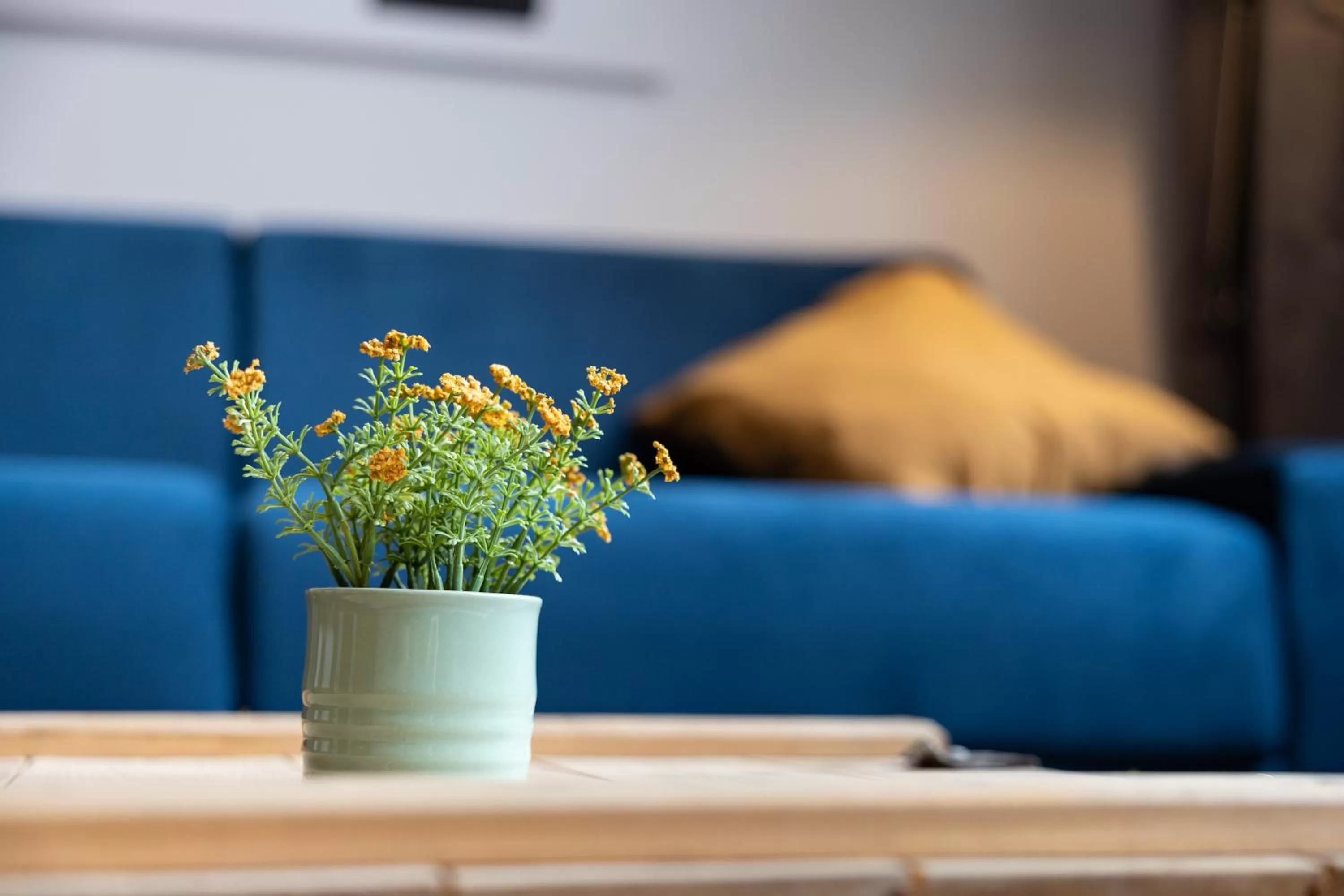 Seating area in Ko-Living Space an der Oper - Street Art Design Apartments