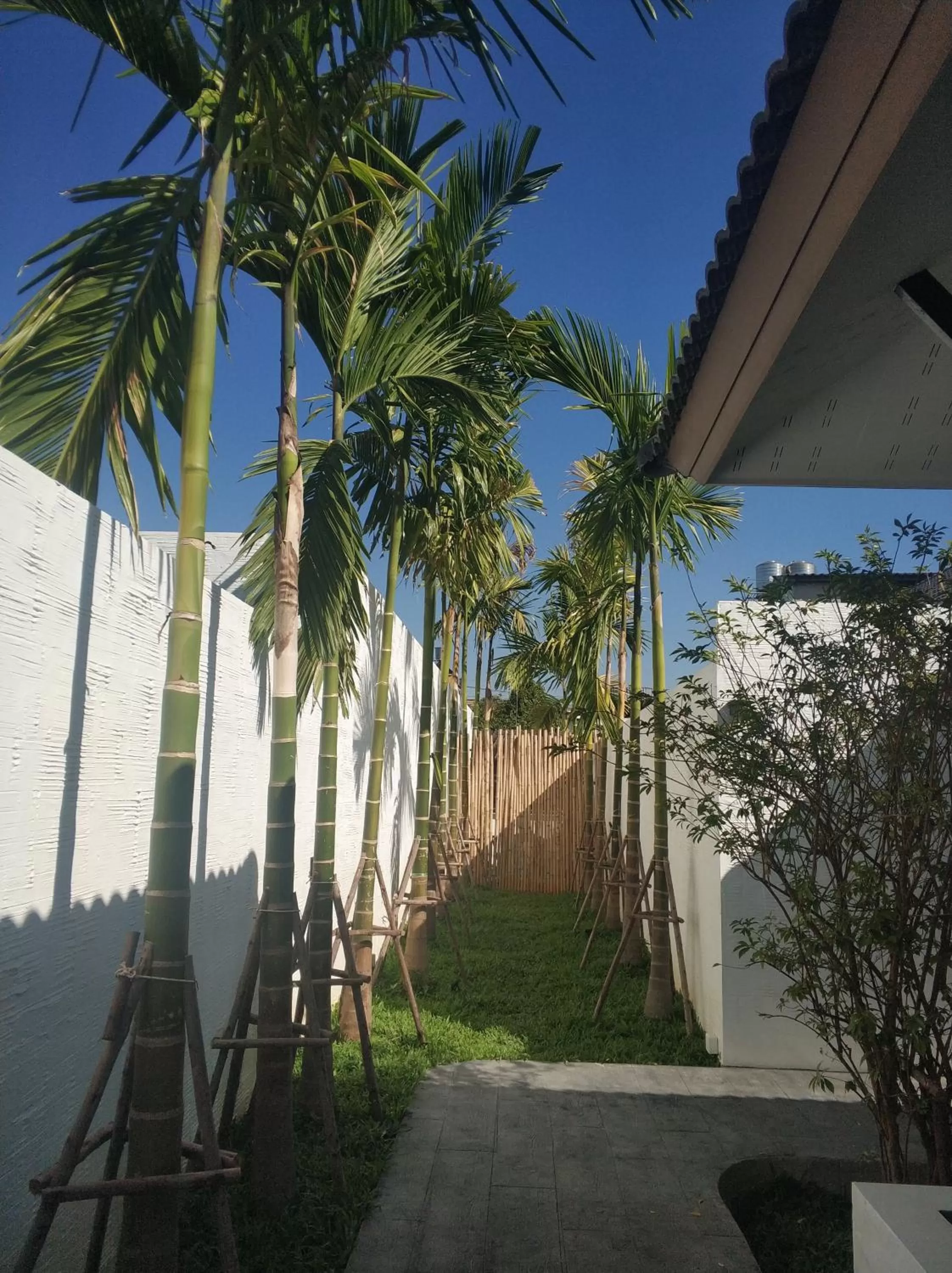 Garden in Arun Dara Villa
