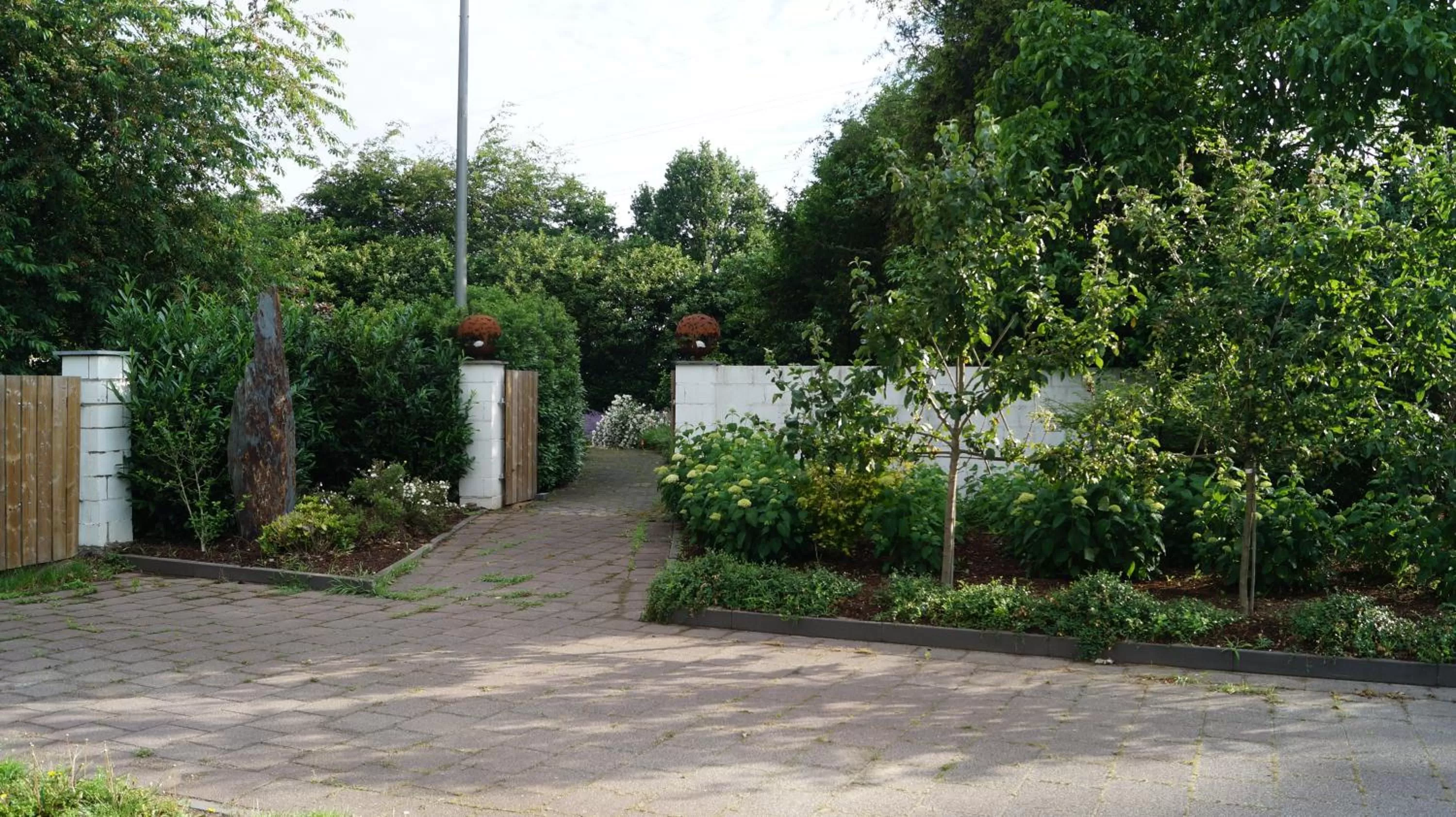 Natural landscape in B&B Johannes-Hoeve