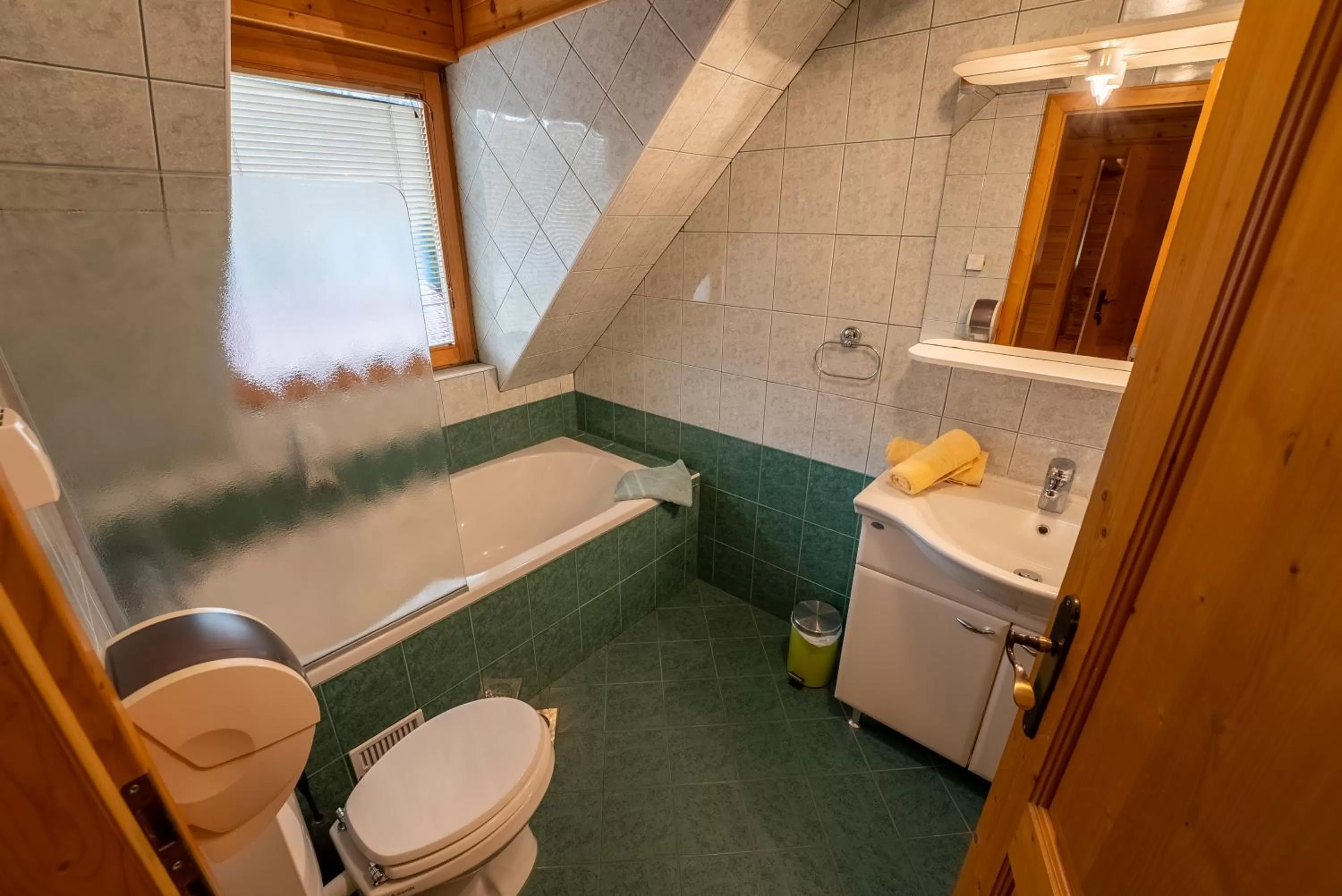 Shower in Korošec Apartments and Wellness Centre