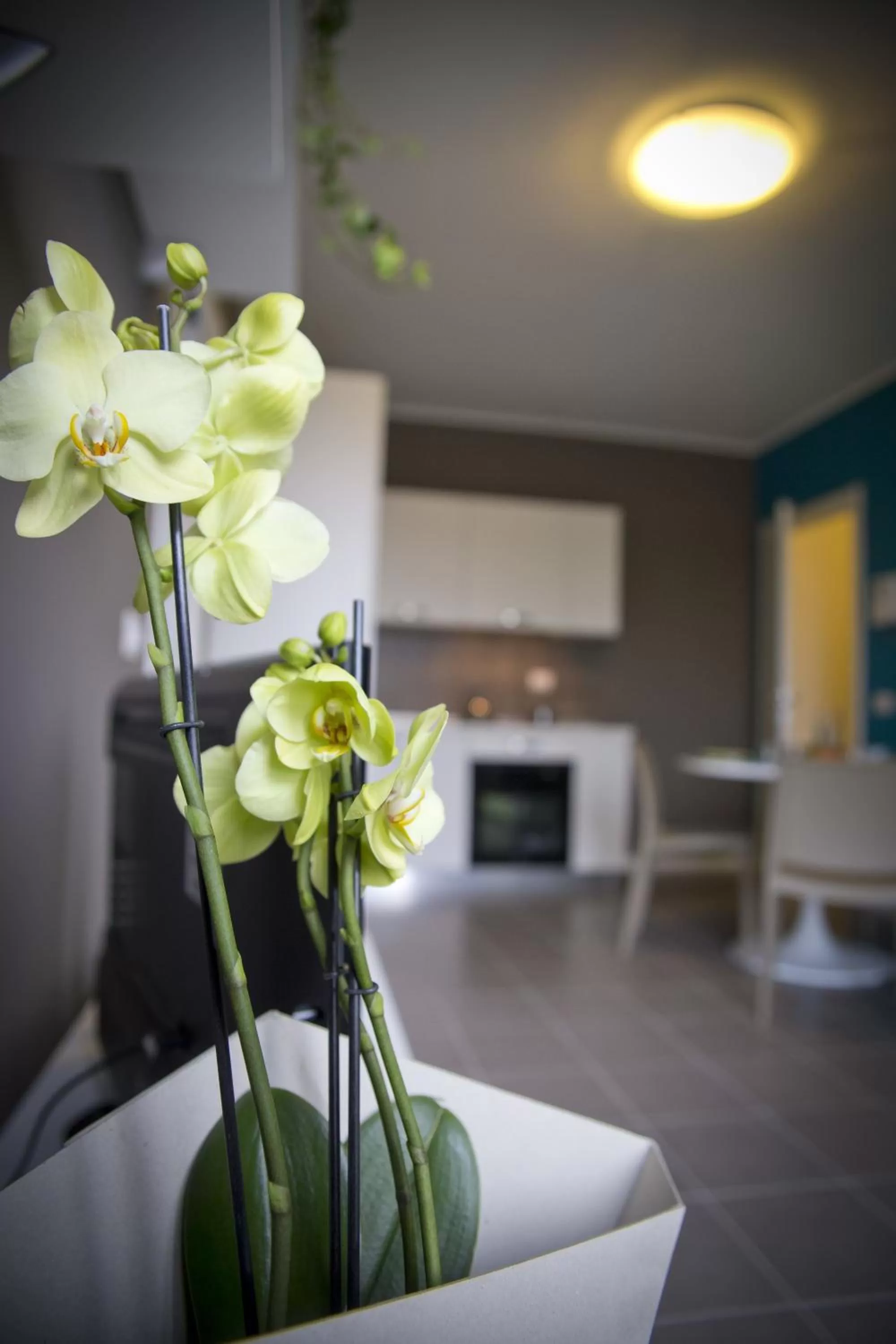 Decorative detail in Aurum Aparthotels Pianell 10