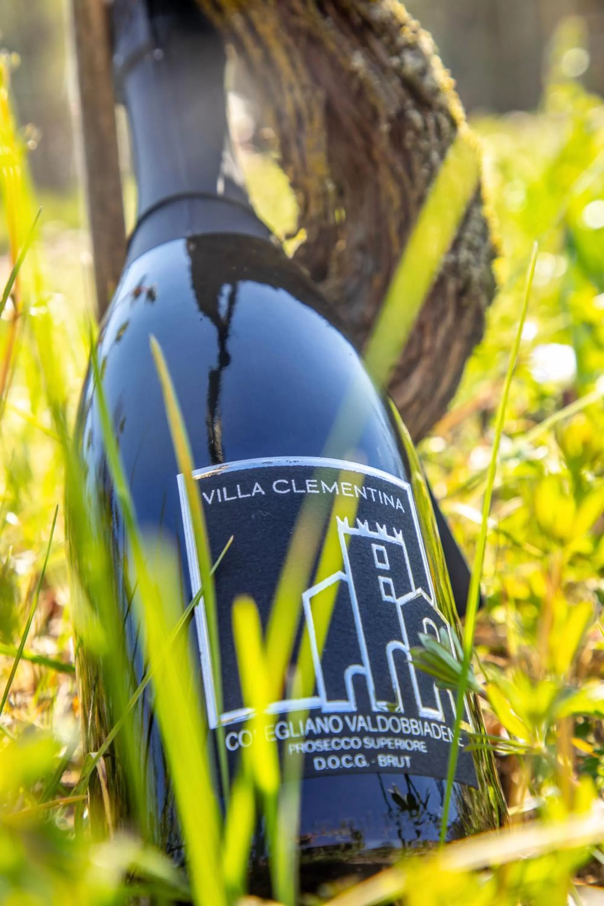 Spring in Villa Clementina - Prosecco Country Hotel