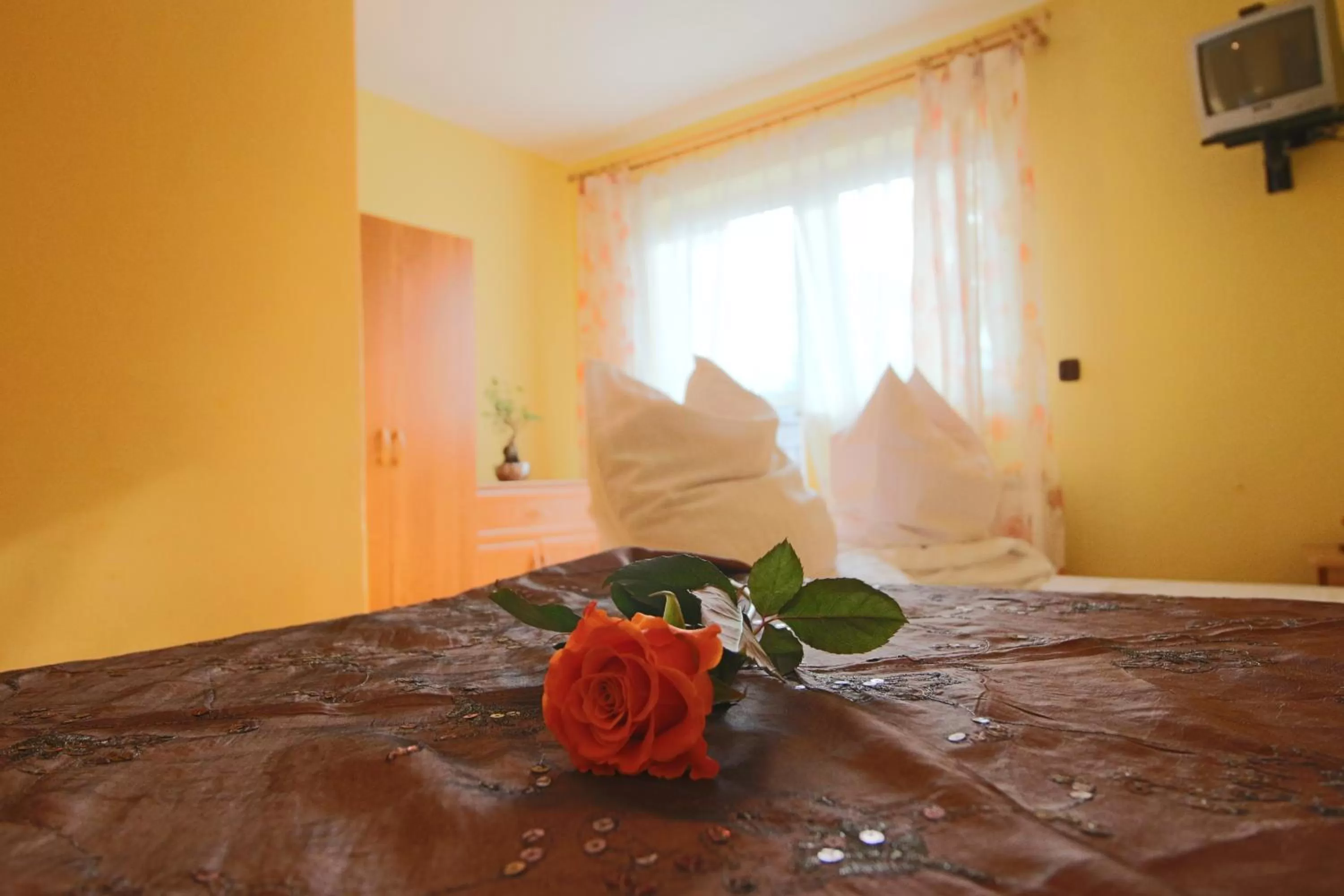 Bed in Willa Grzesiczek