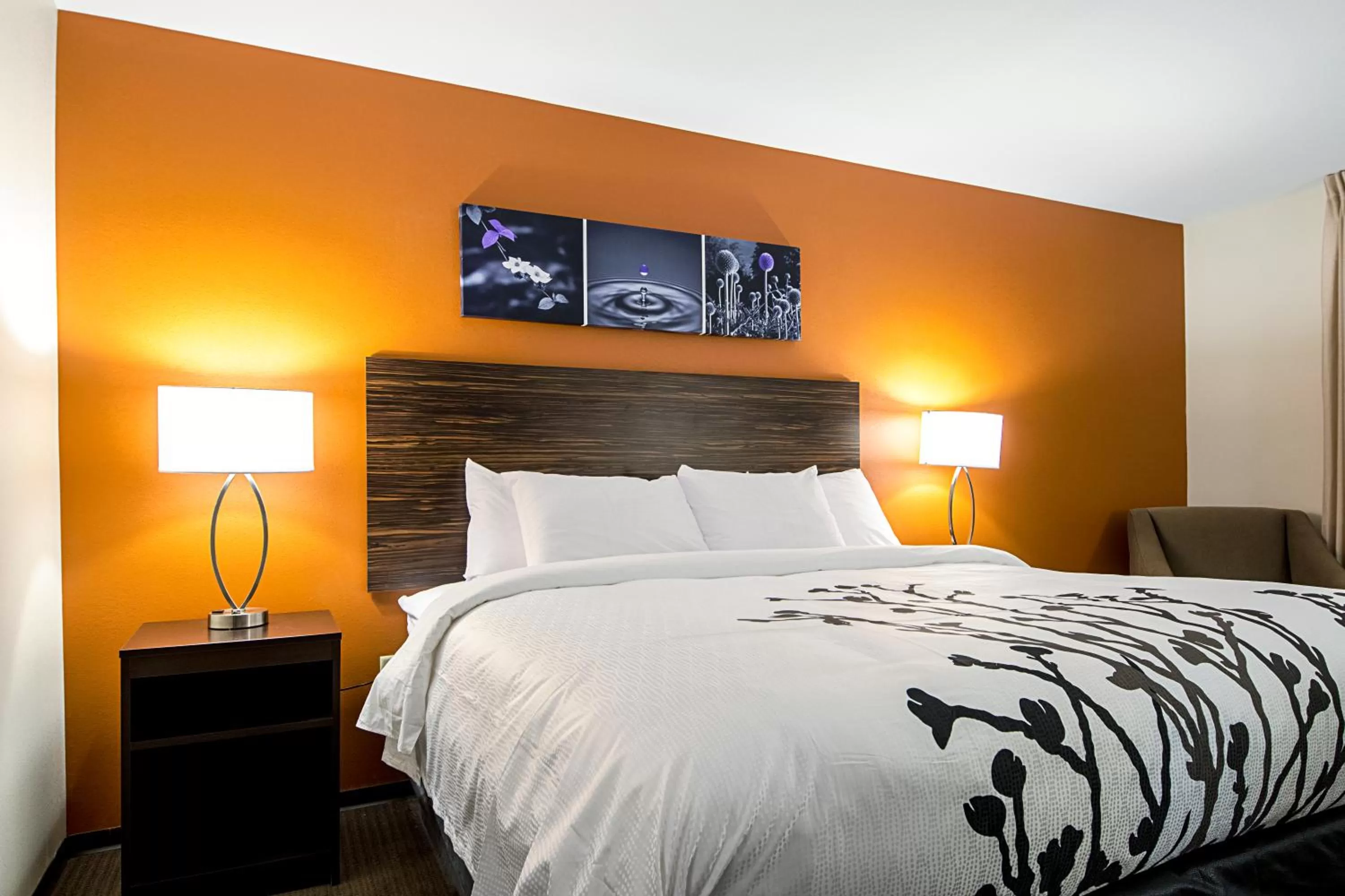 Bed in Sleep Inn Geismar - Gonzales