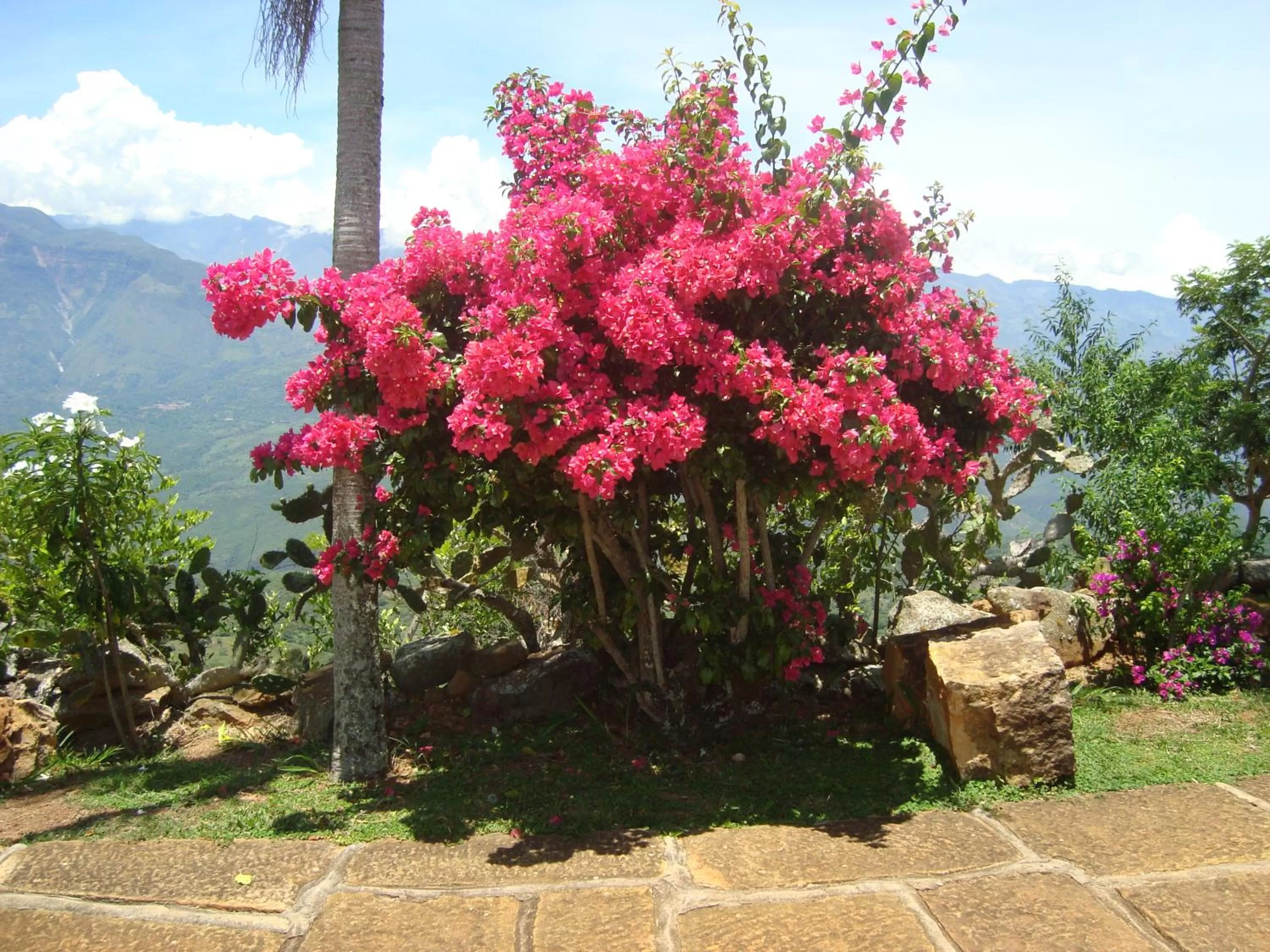 Children play ground, Garden in Hotel Real Pólux