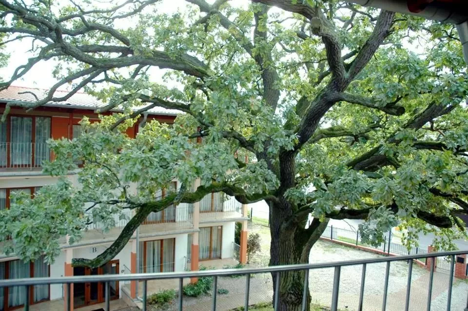 Property building in Rezydencja 5 Dębów