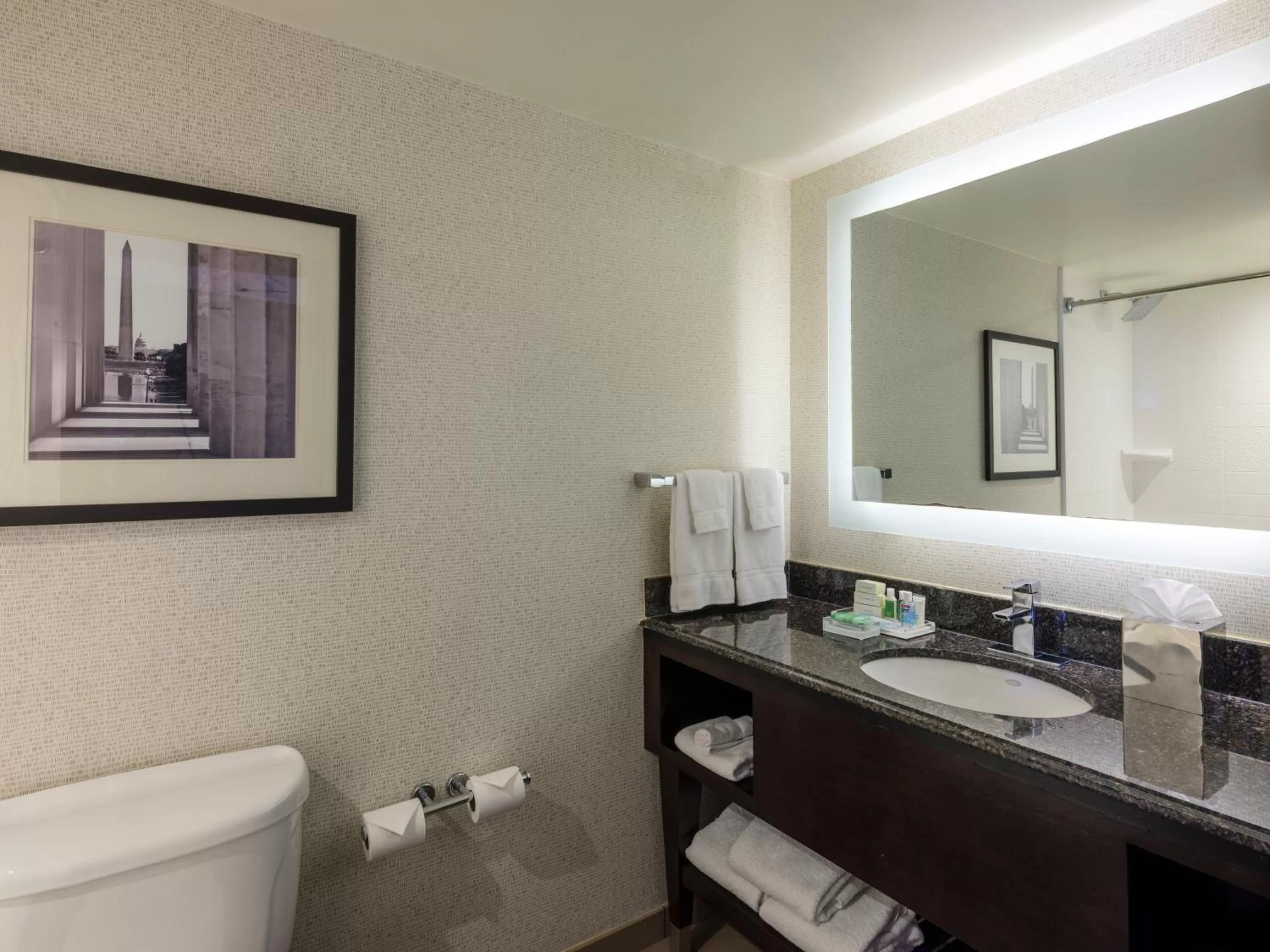 Bathroom in Holiday Inn Washington Capitol-National Mall by IHG