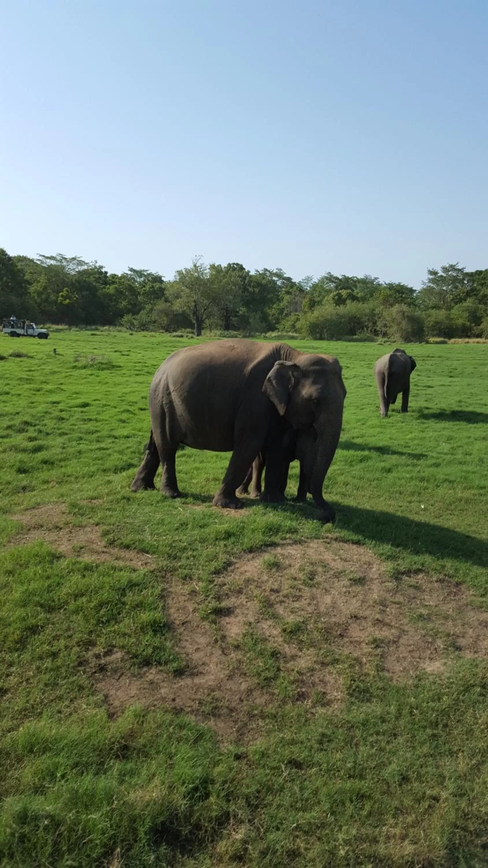 Activities, Other Animals in Little Paradise Tourist Guest House and Holiday Home
