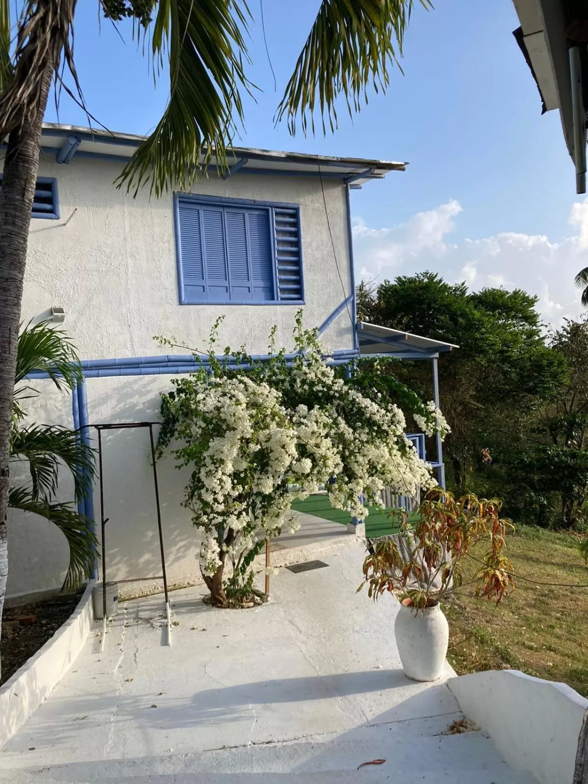 Property Building in Massalli Sanctuary Lodge