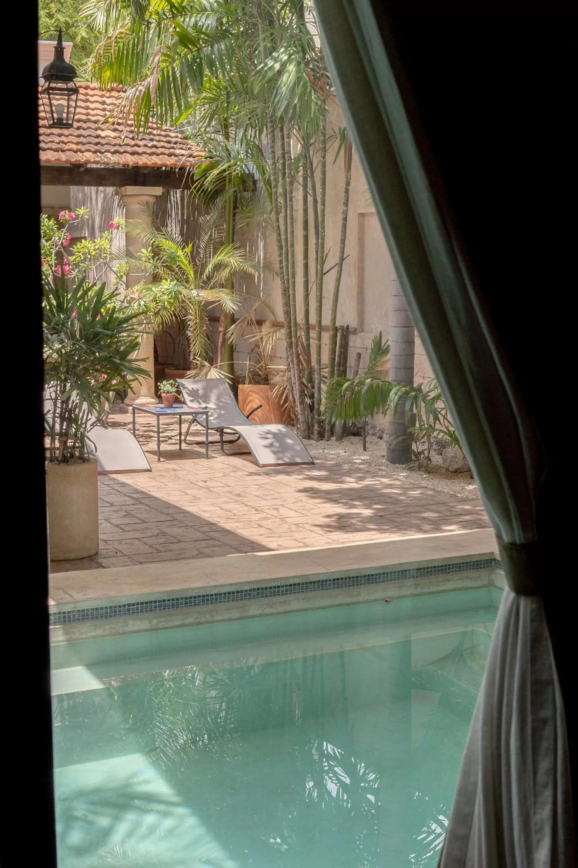 View (from property/room) in Casa Dos Lirios Hotel Boutique