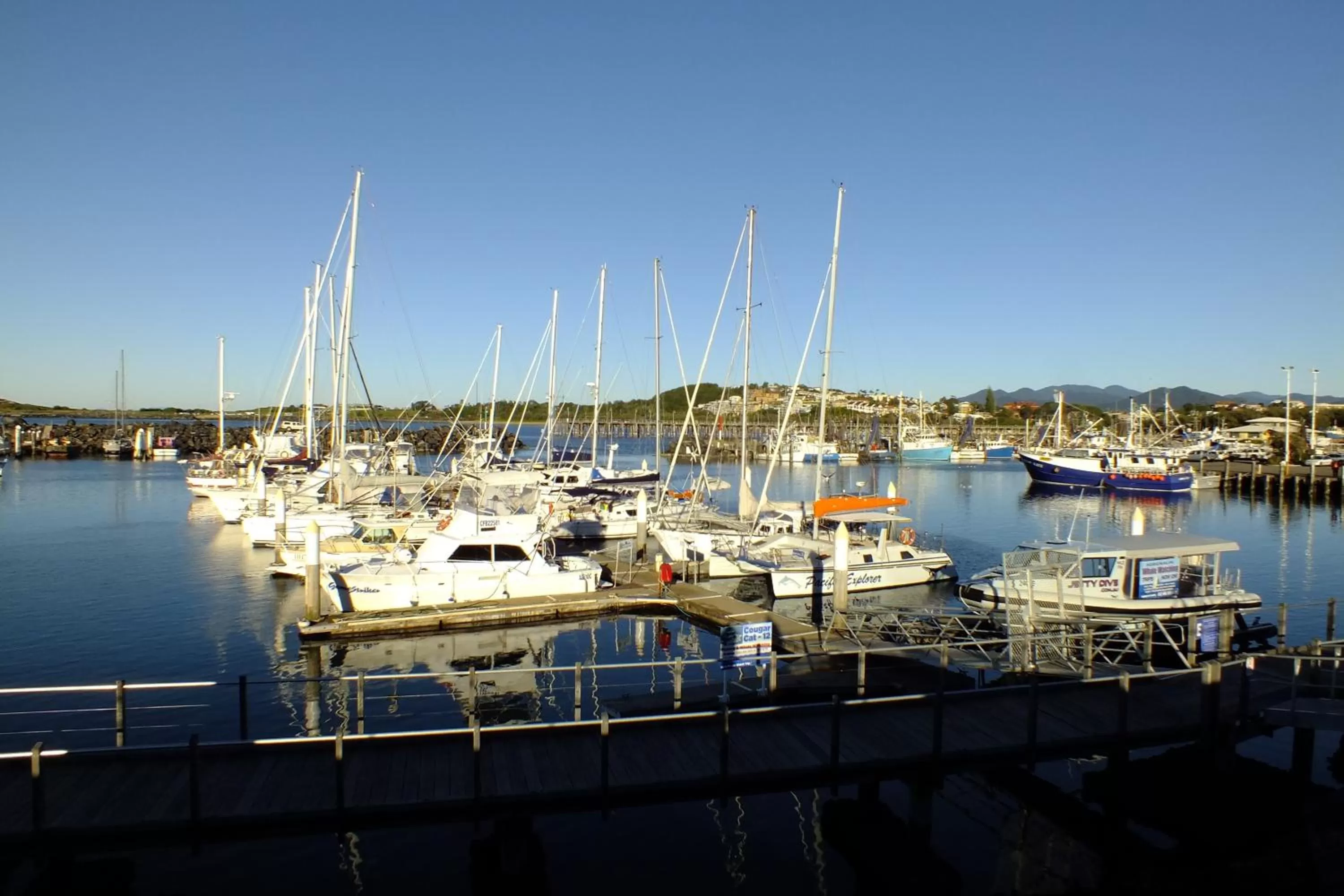 Area and facilities in Pacific Marina Apartments