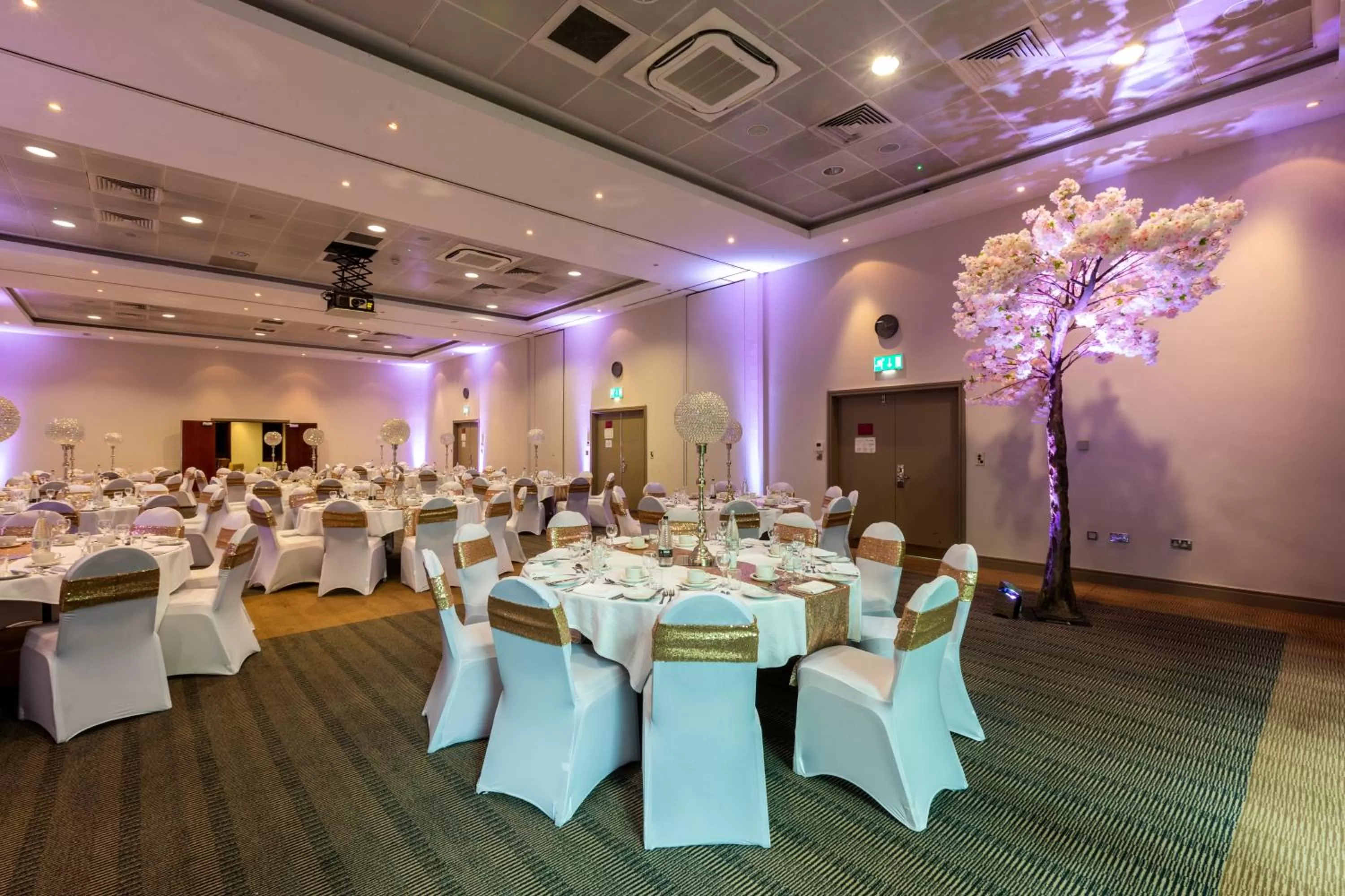 Banquet/Function facilities in Crowne Plaza Birmingham NEC by IHG