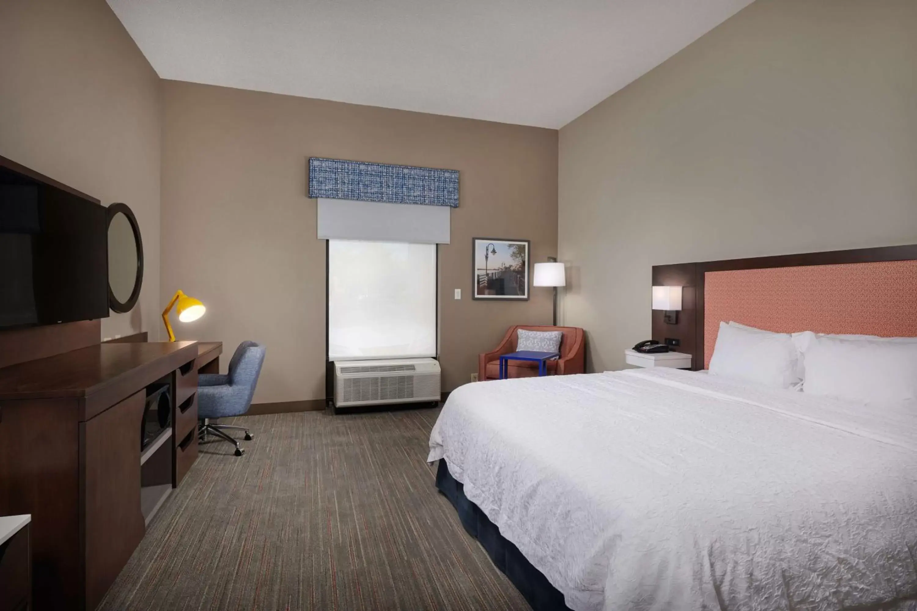 King Room with Roll-In Shower - Mobility Access/Non-Smoking in Hampton Inn Wilmington-Medical Park King Room with Roll-In Shower - Mobility Access/Non-Smoking in Hampton Inn Wilmington-Medical Park