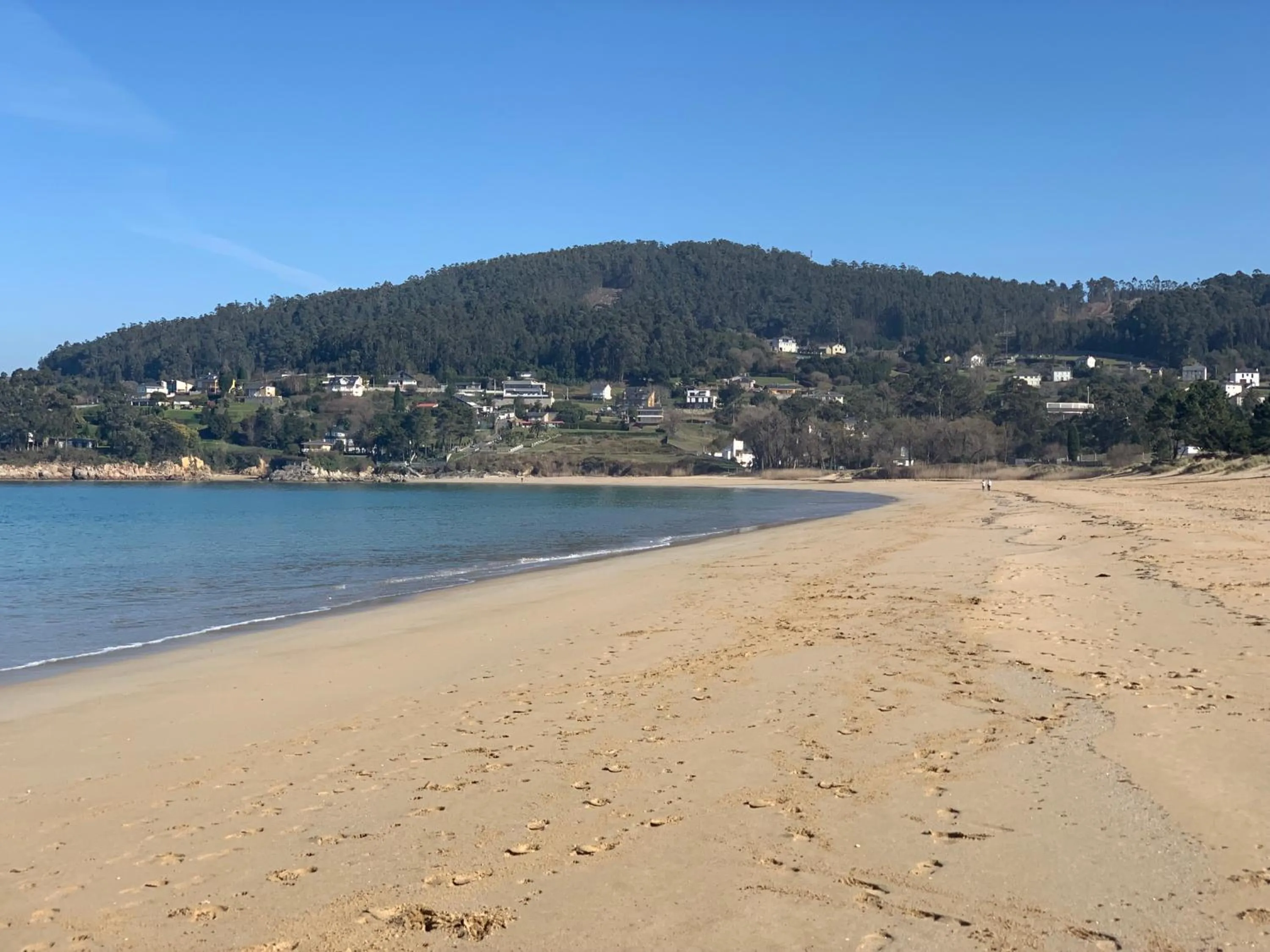 Natural landscape in Hotel Ego