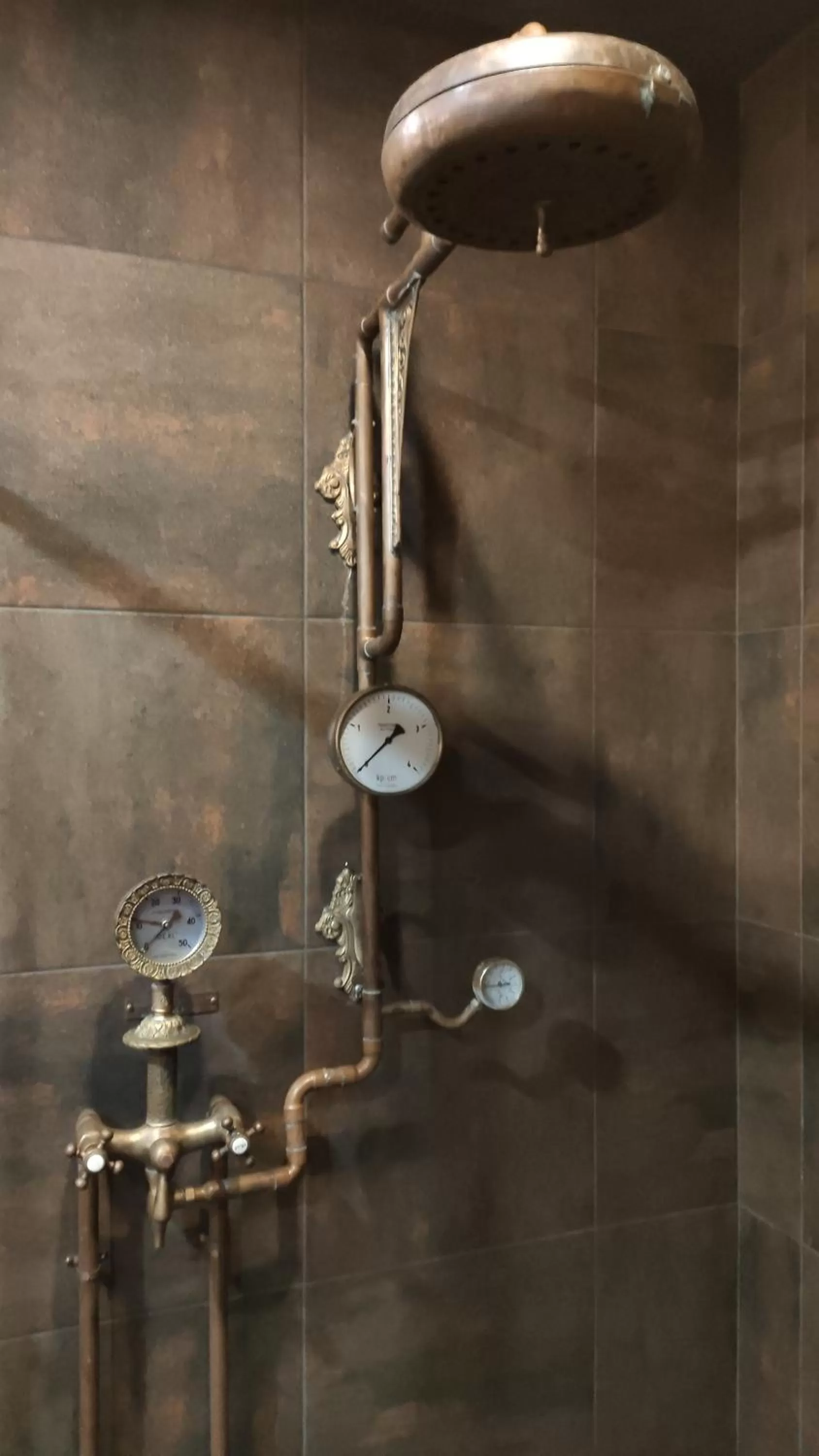 Shower in Villa Zoryany Dvir