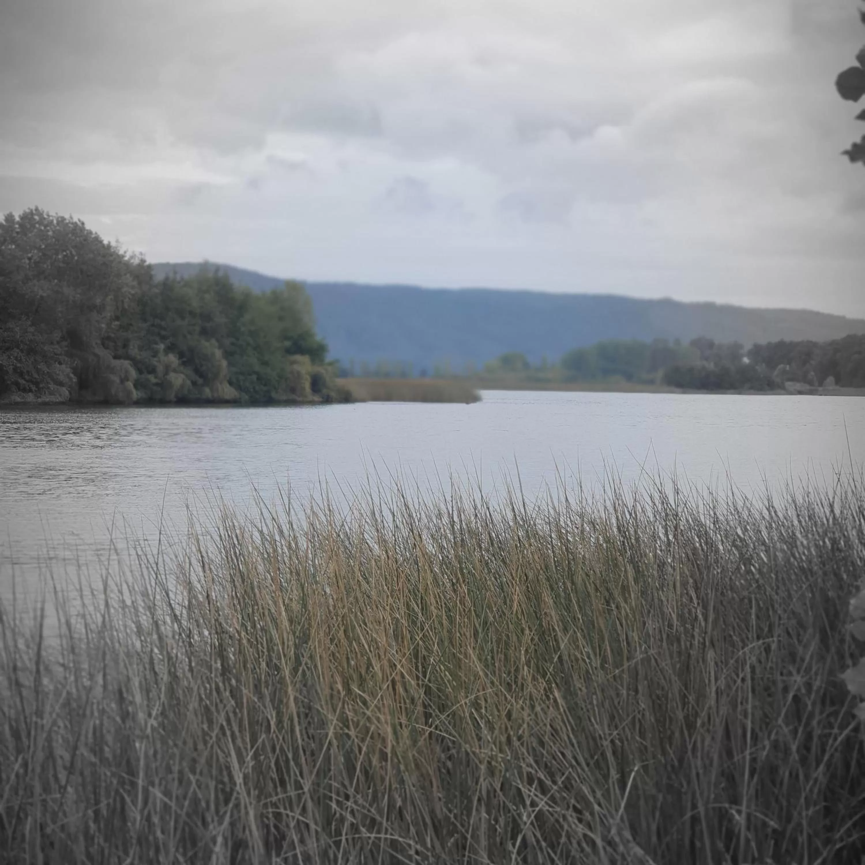 River view in Cabañas Rosner