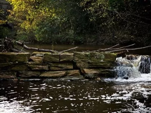 Activities in The Sun Inn