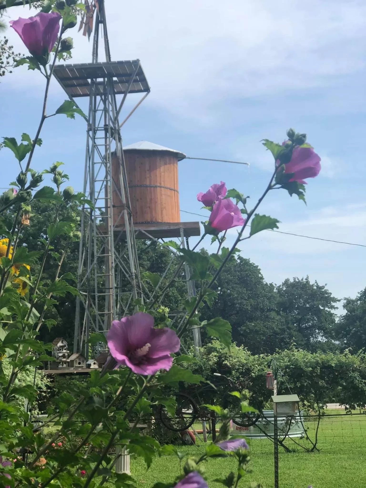 Spring in The Old Liberty Schoolhouse