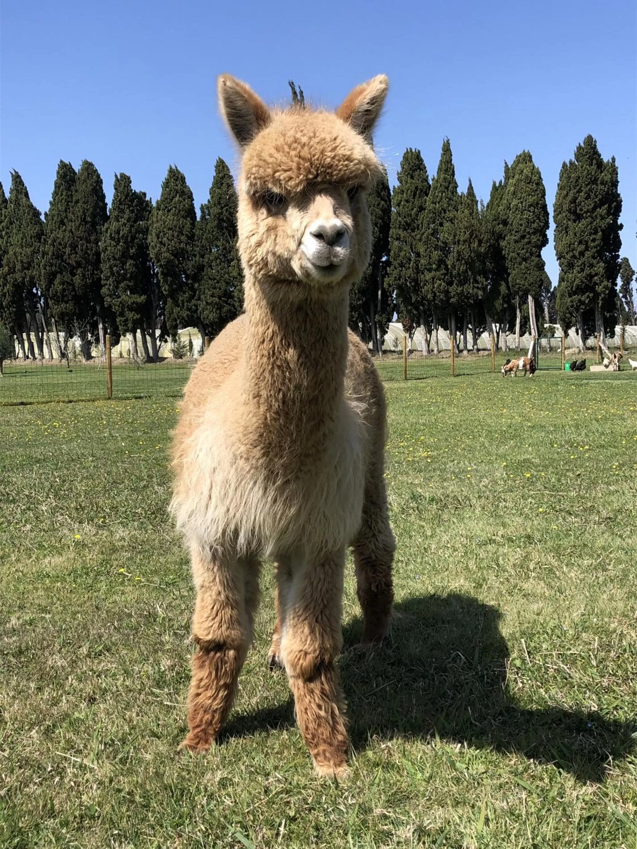 Natural landscape in Le Mas Des Chutes