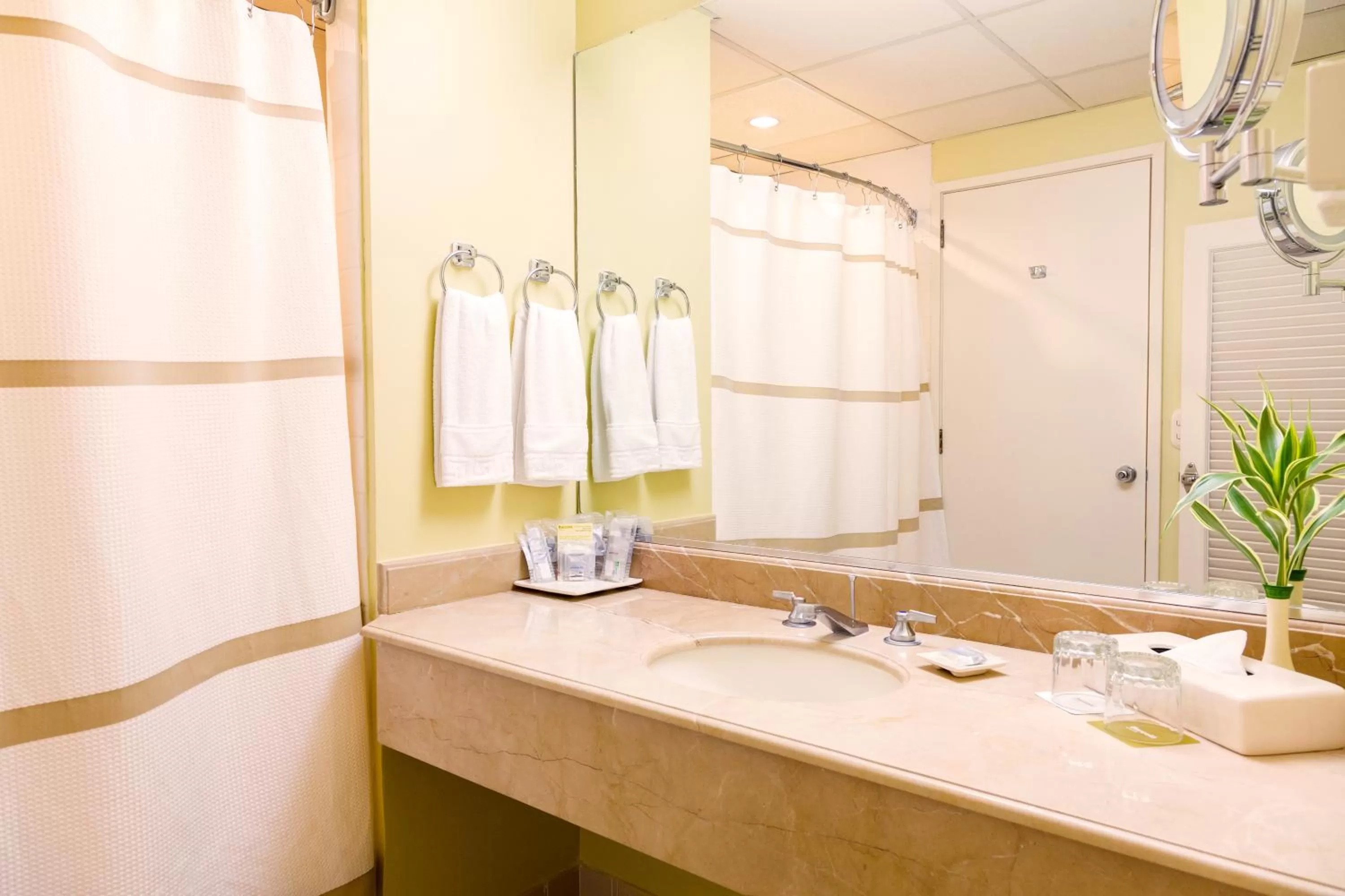 Superior Double Room in Barceló Guatemala City