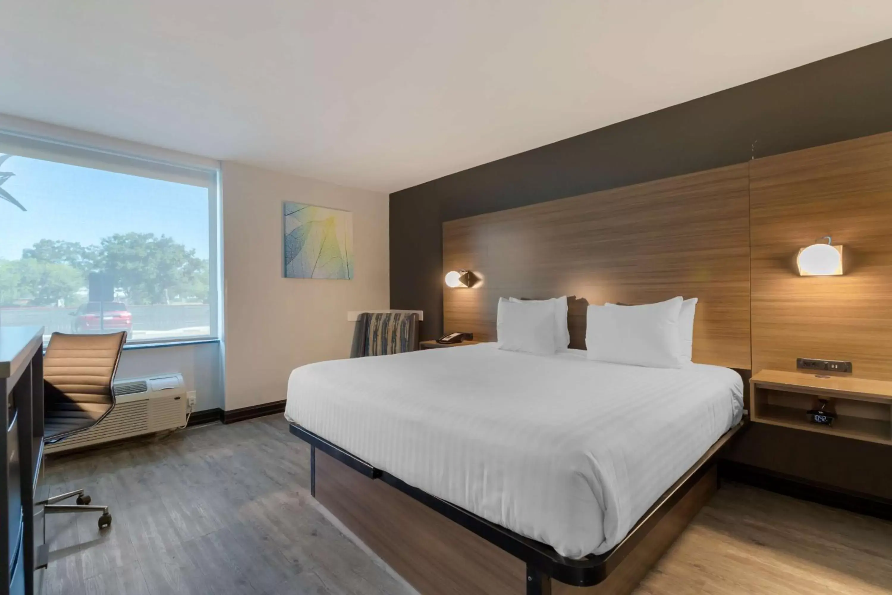 King Room with Mobility Accessible Roll-In Shower in Best Western Corpus Christi Airport Hotel King Room with Mobility Accessible Roll-In Shower in Best Western Corpus Christi Airport Hotel