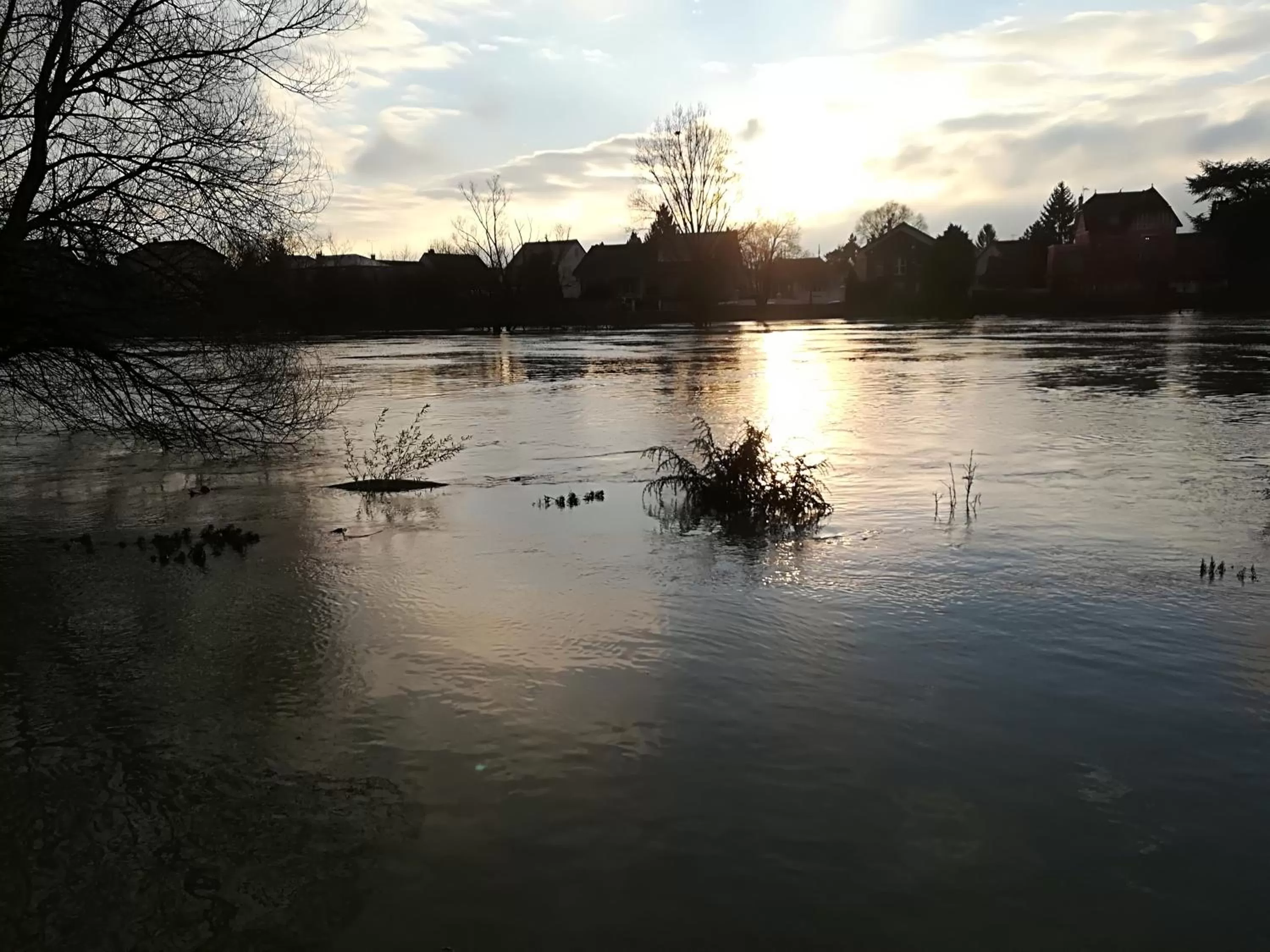 River view in LES PINGOUINS DE LA MARNE