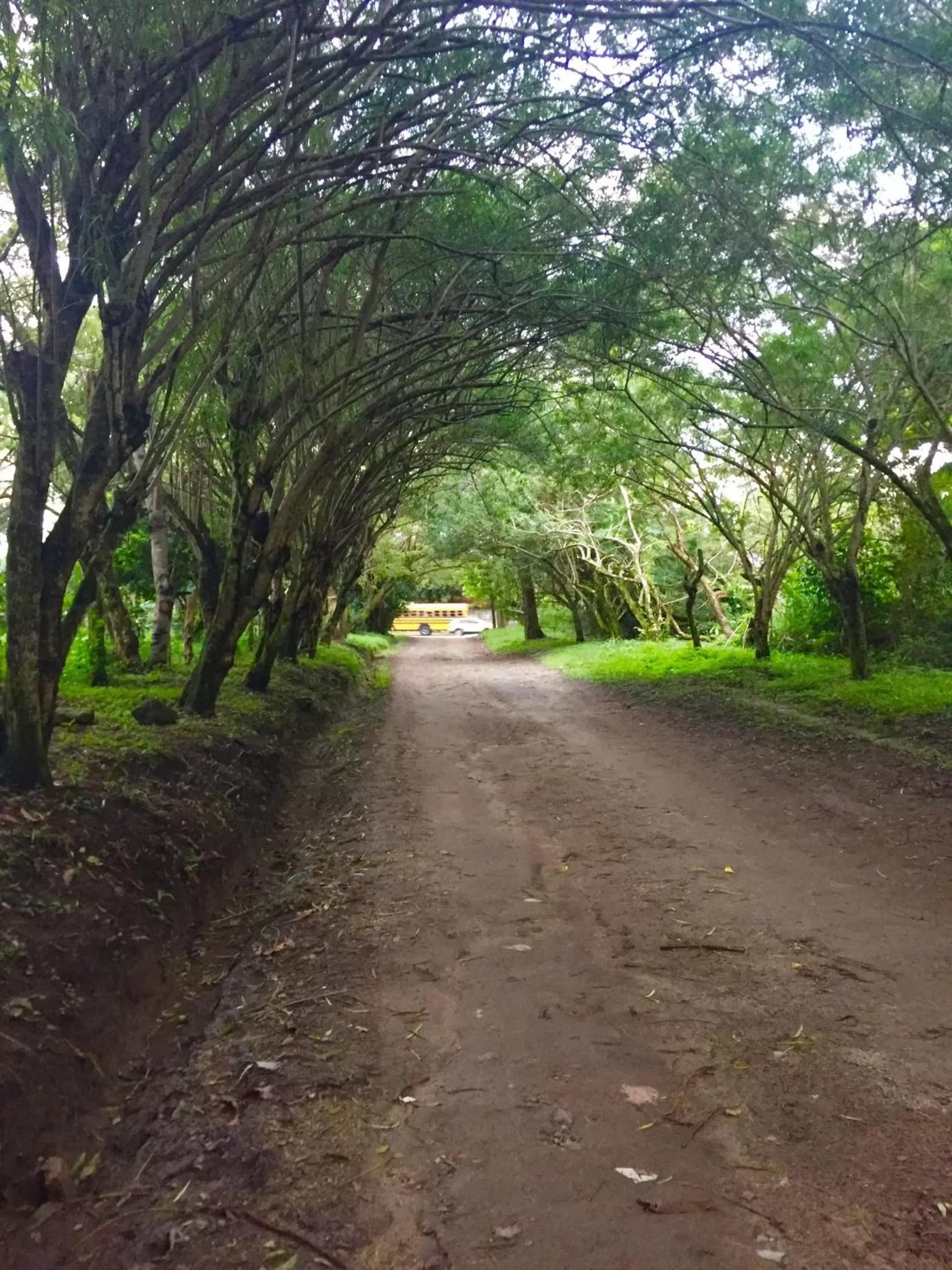 Day in Refugio de la Montaña B&B